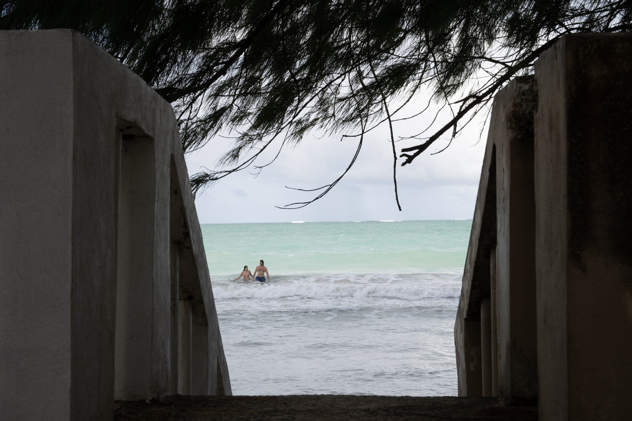 Punta las Marias - foto 80