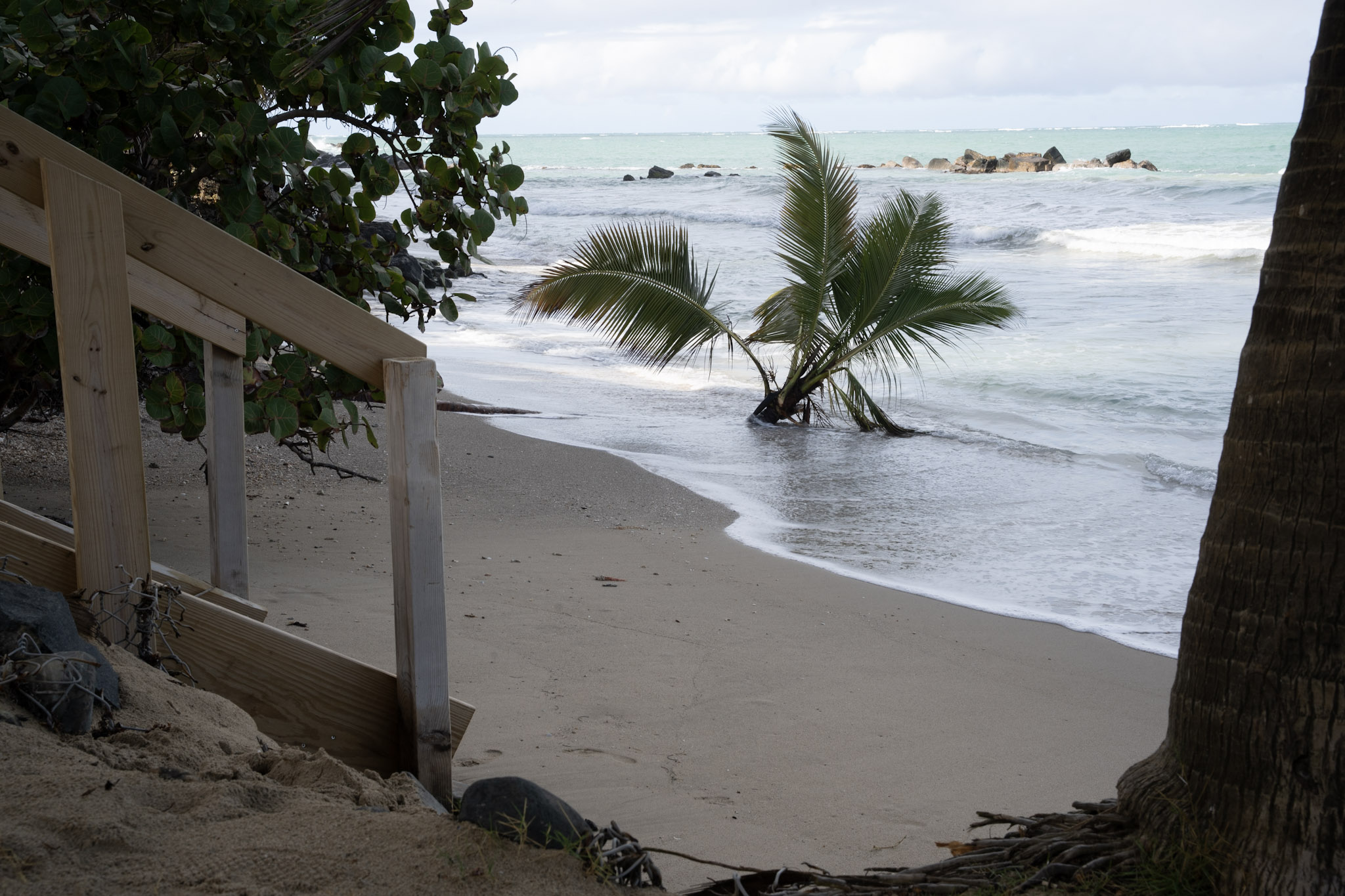 Punta las Marias - foto 82