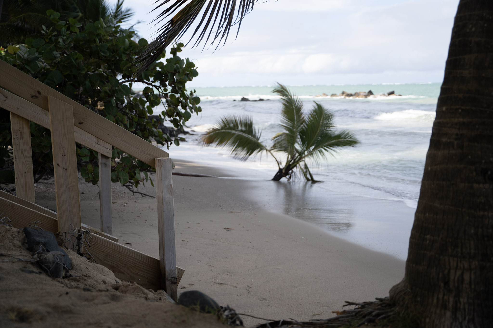 Punta las Marias - foto 85