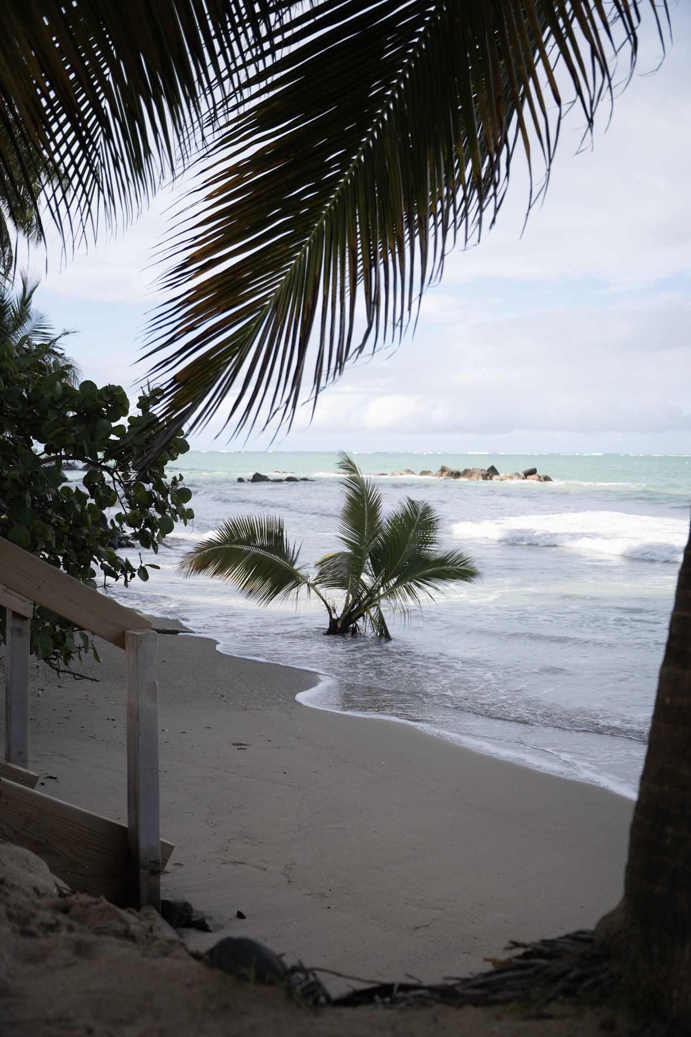 Punta las Marias - foto 86