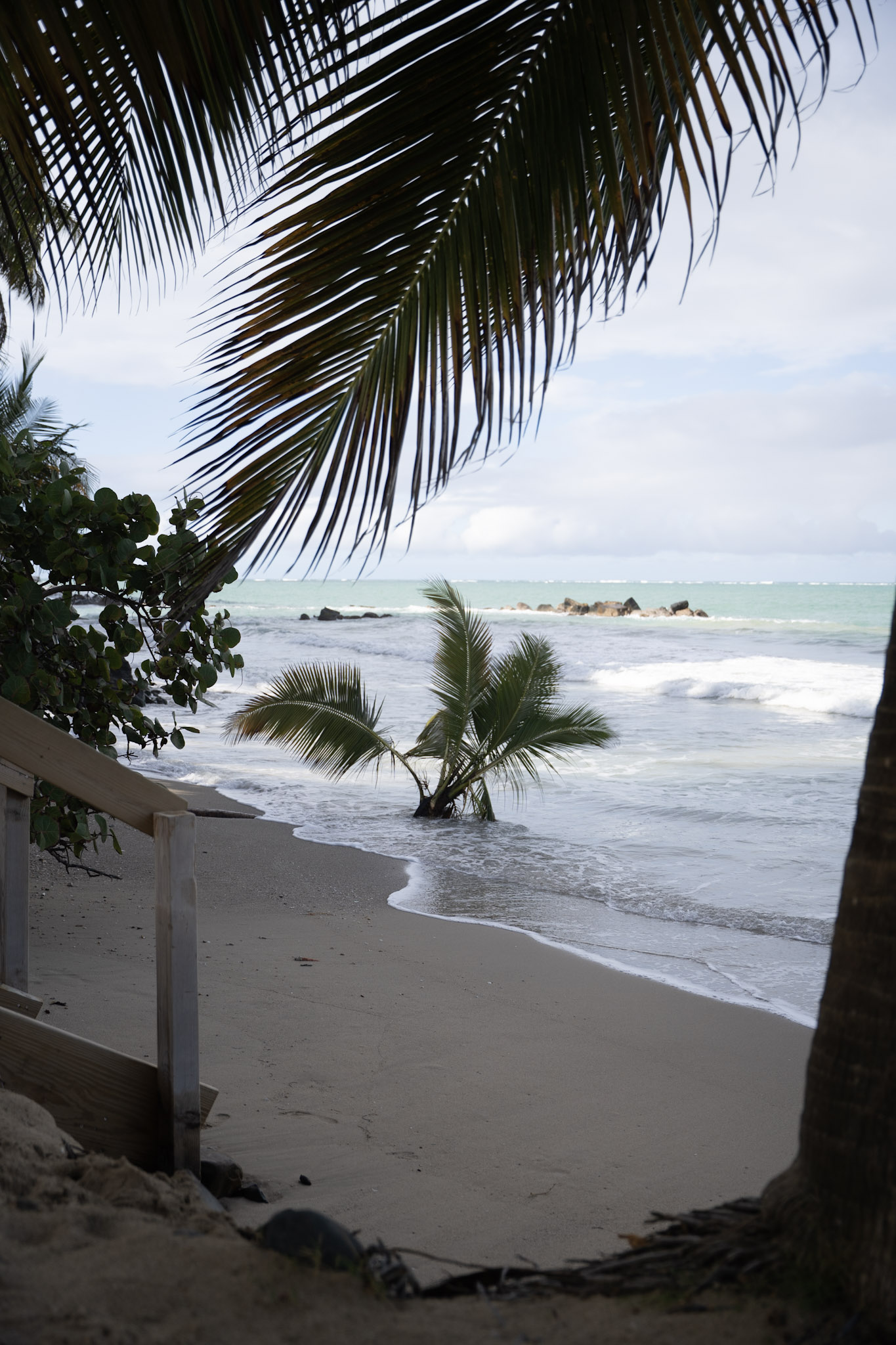 Punta las Marias - foto 87