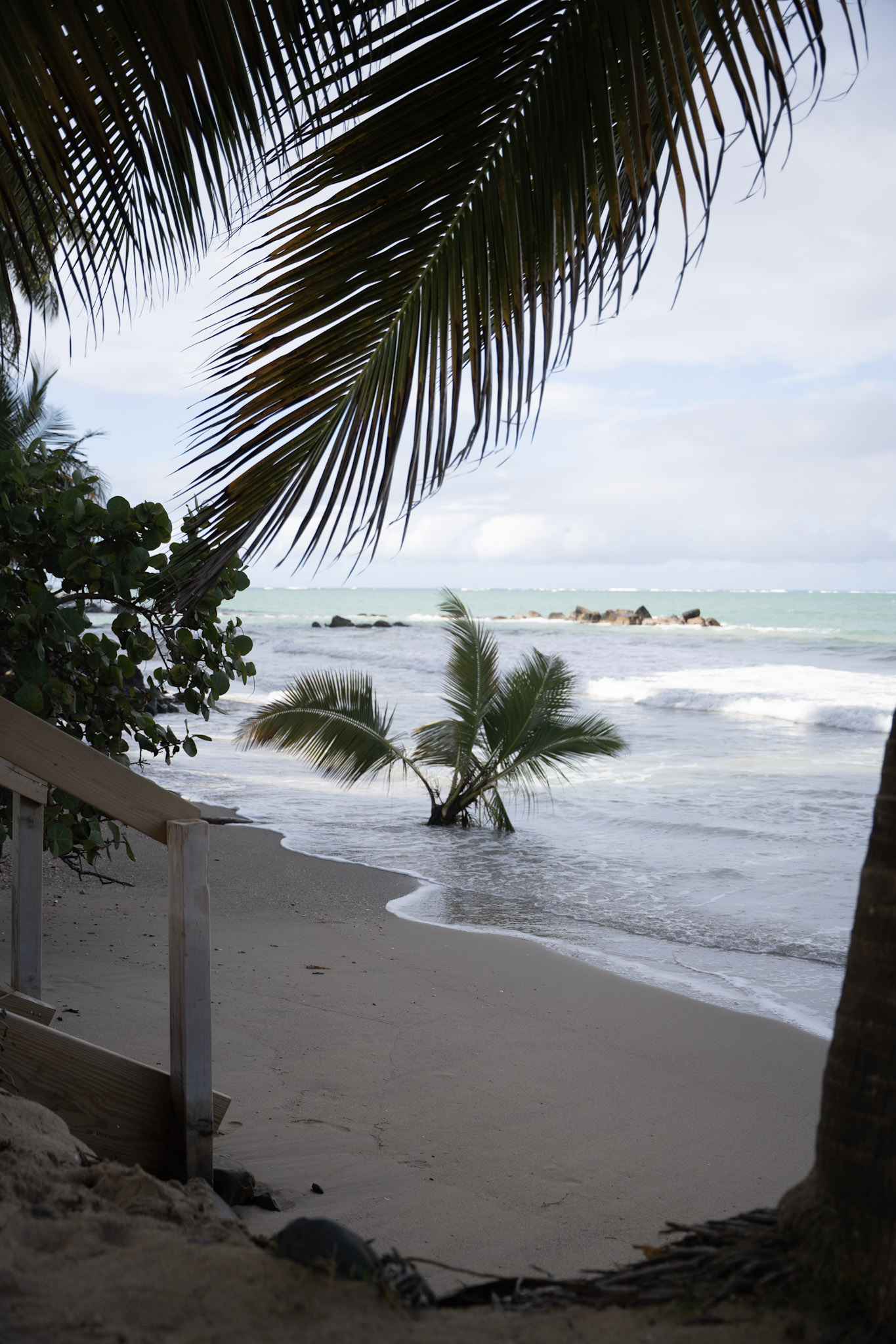 Punta las Marias - foto 89