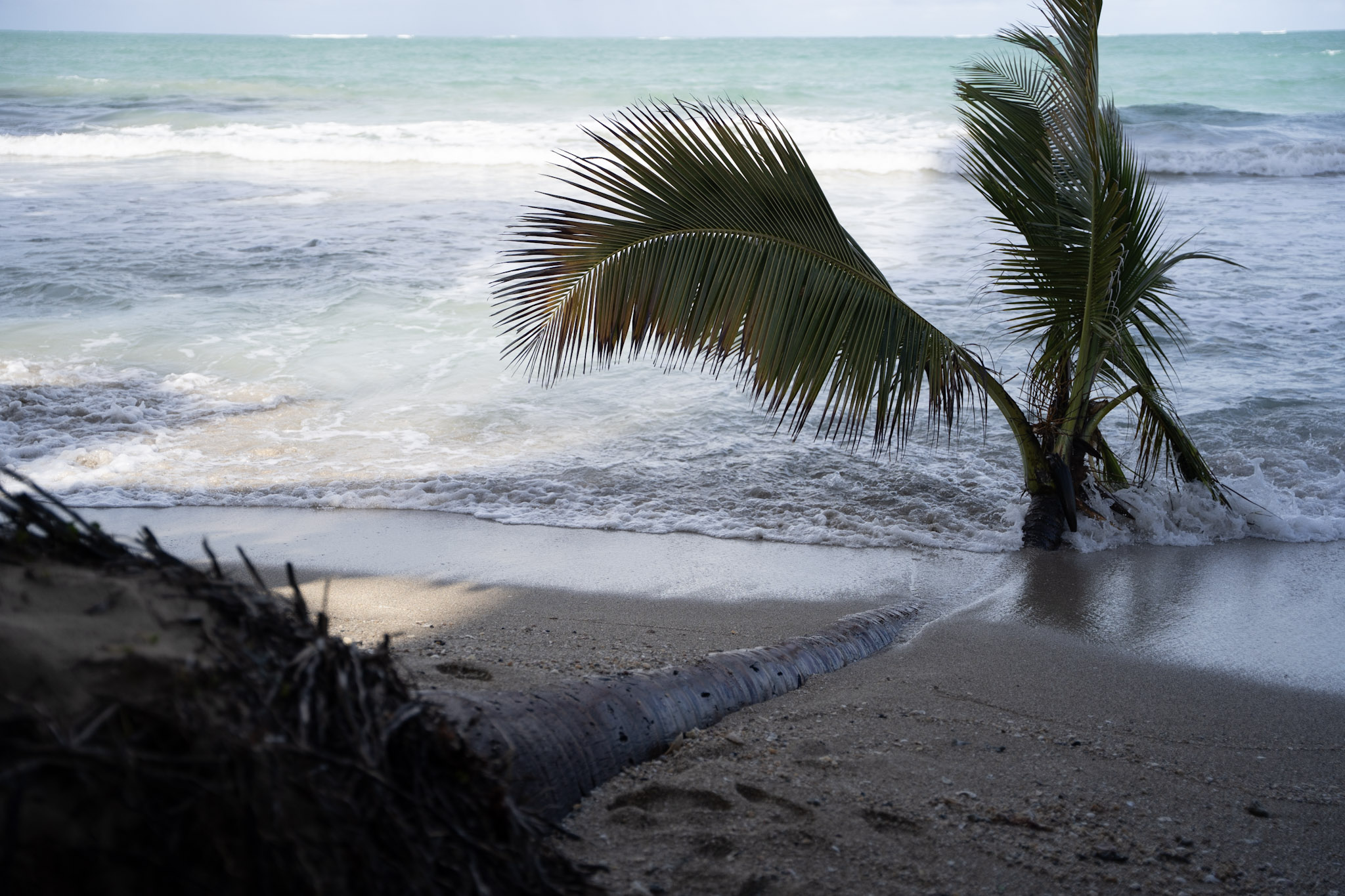 Punta las Marias - foto 91