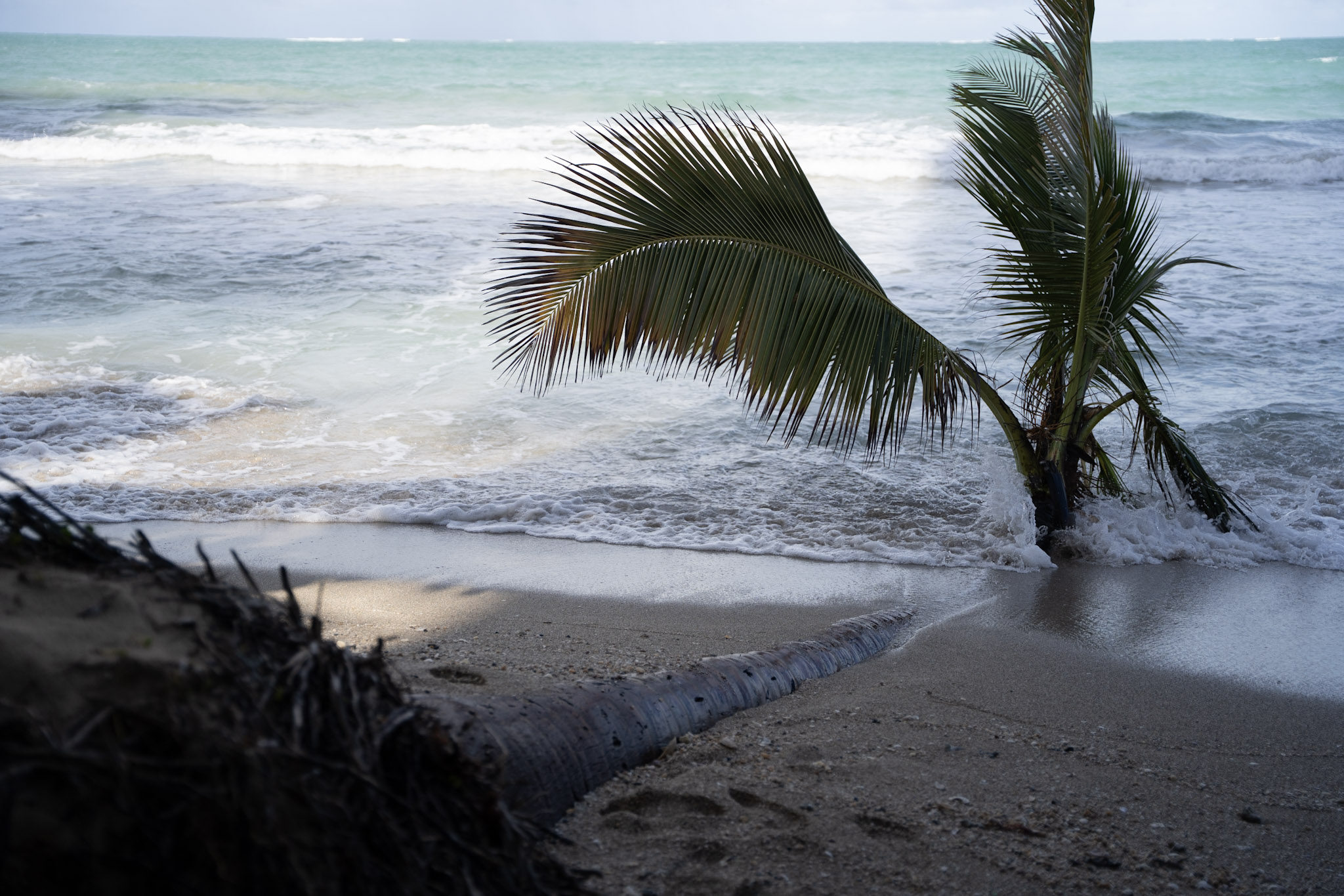 Punta las Marias - foto 92