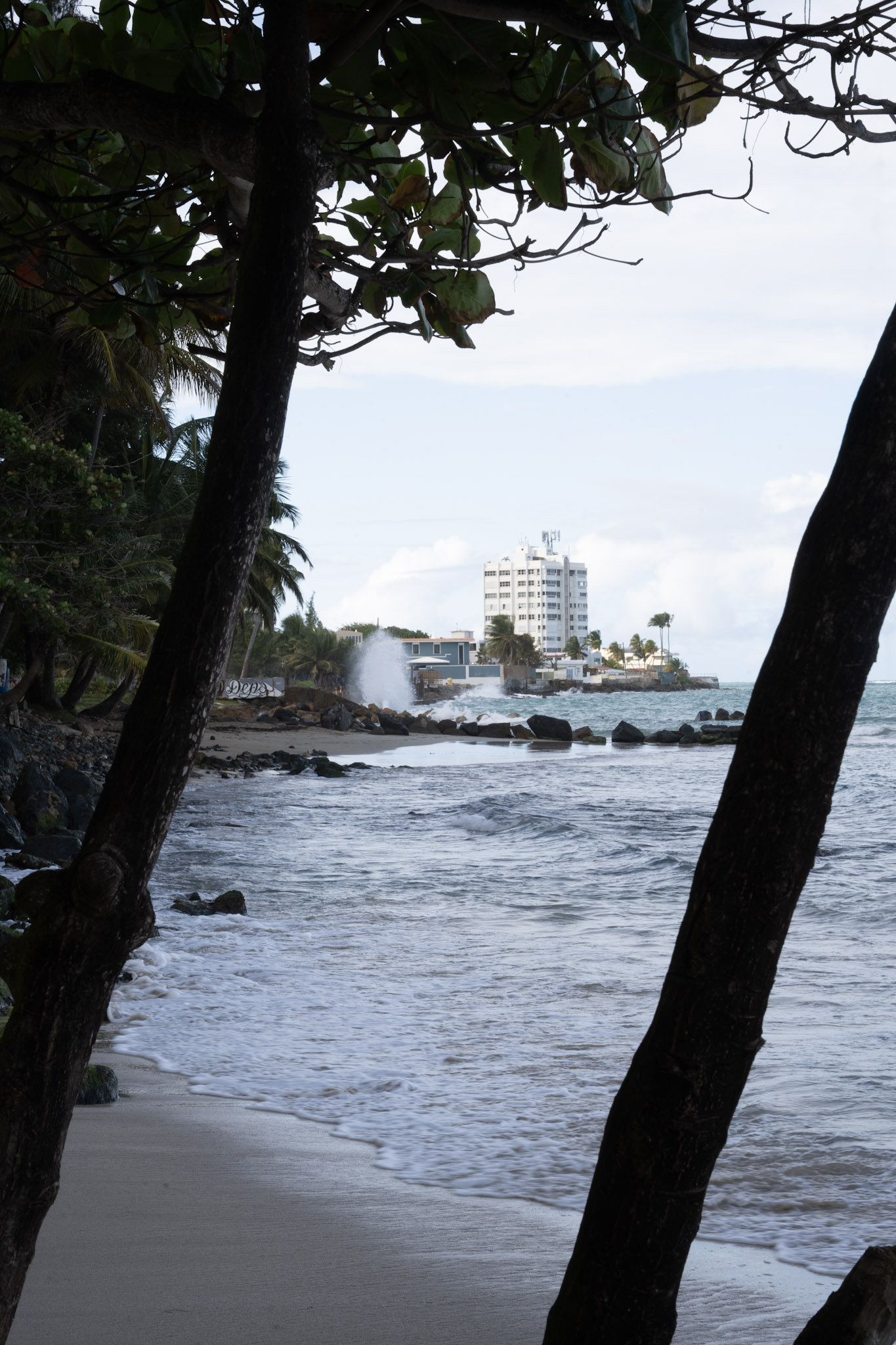 Punta las Marias - foto 172