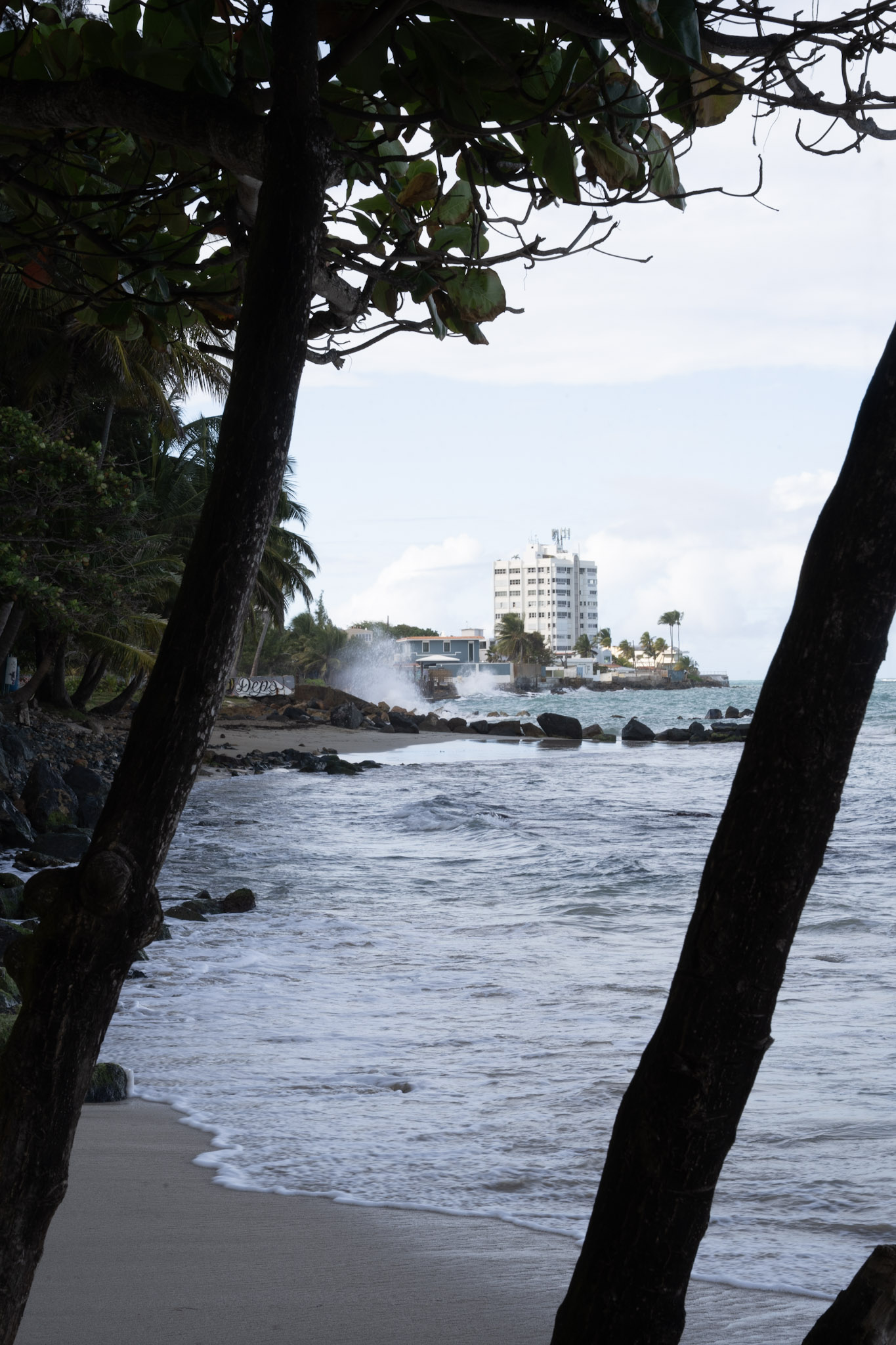 Punta las Marias - foto 174