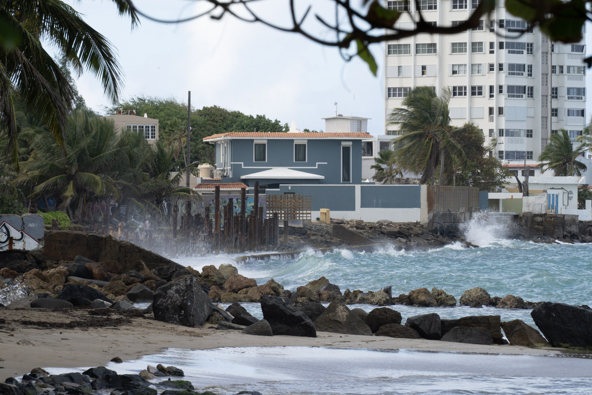 Punta las Marias - foto 187