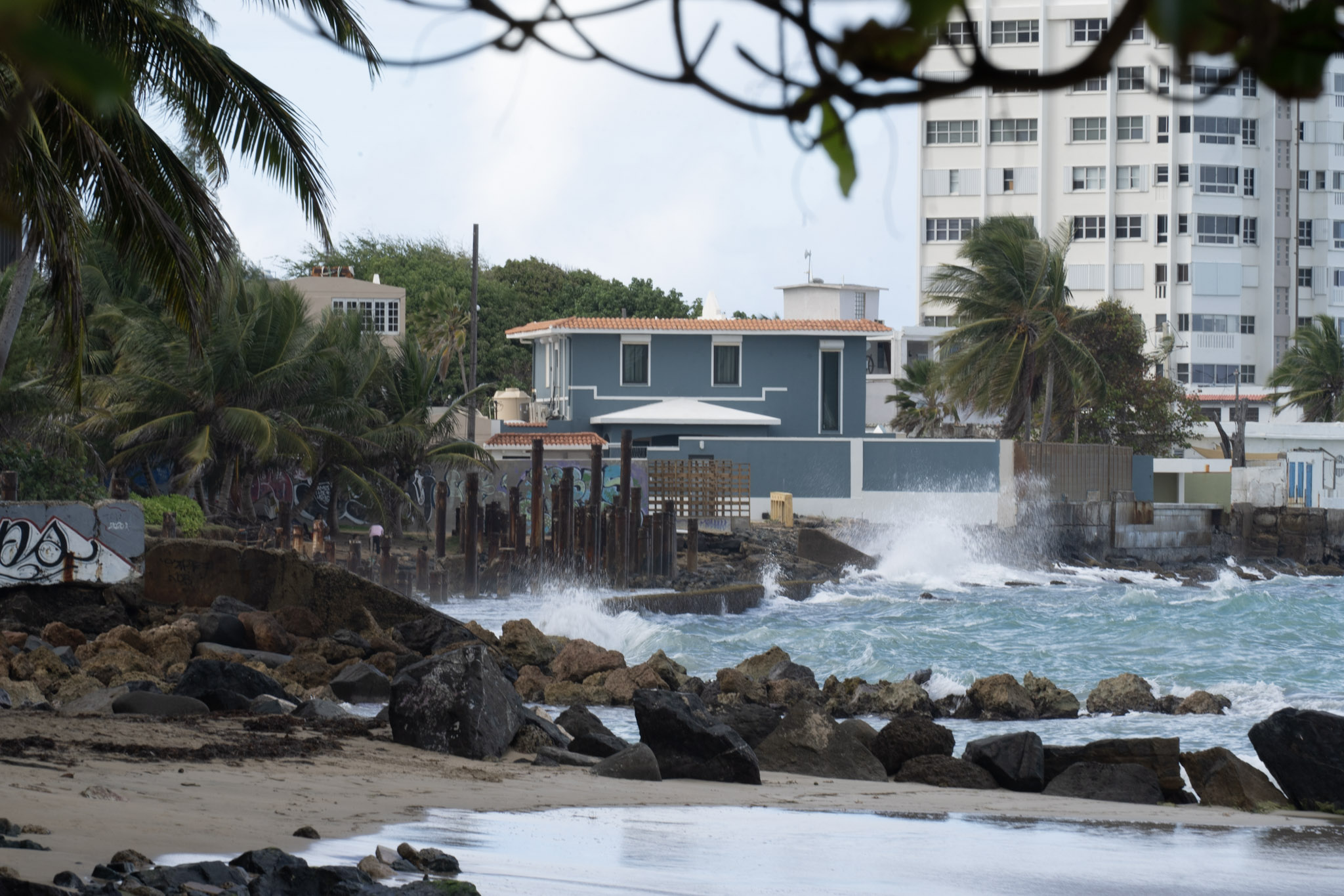 Punta las Marias - foto 190