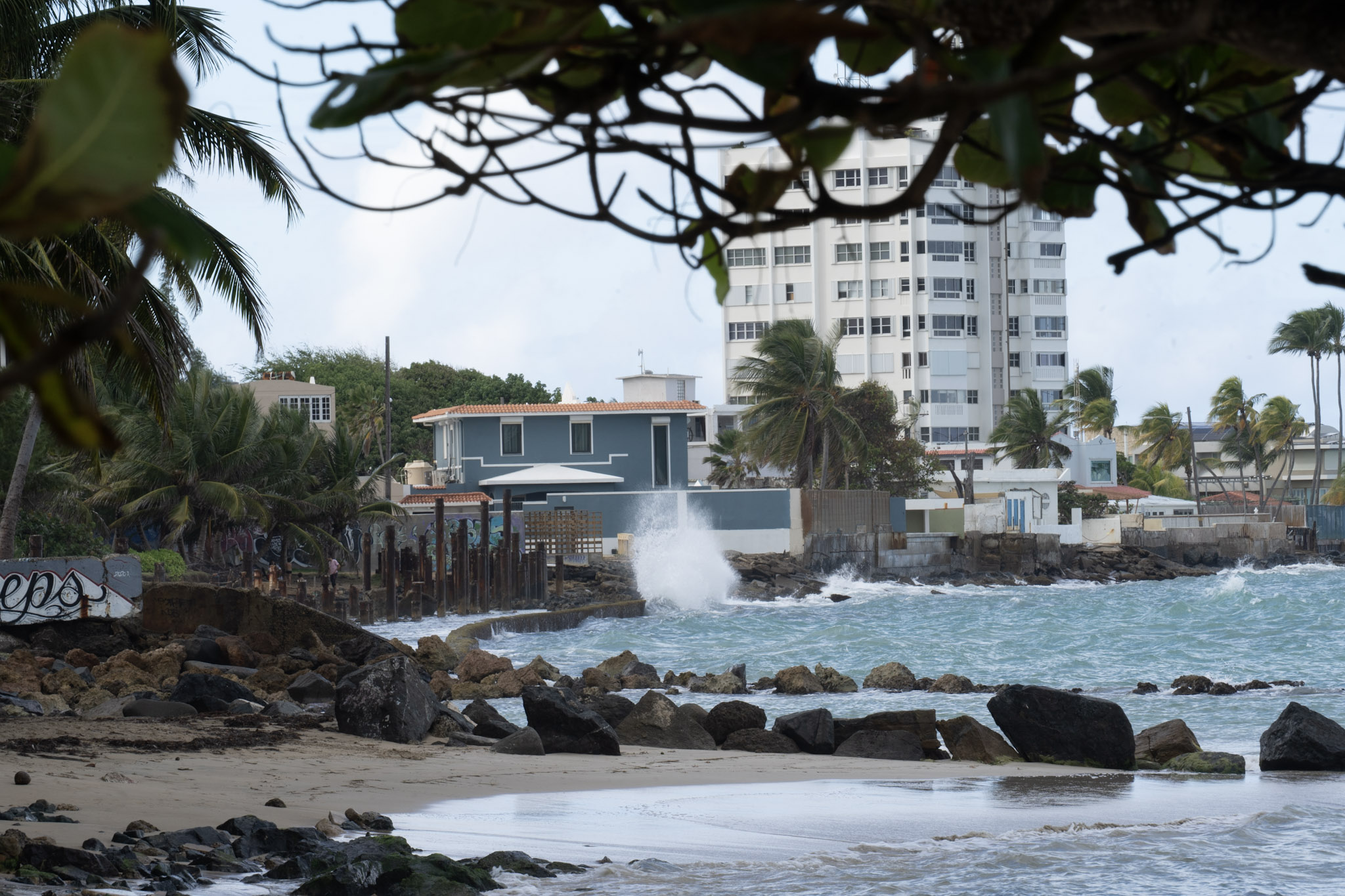 Punta las Marias - foto 194
