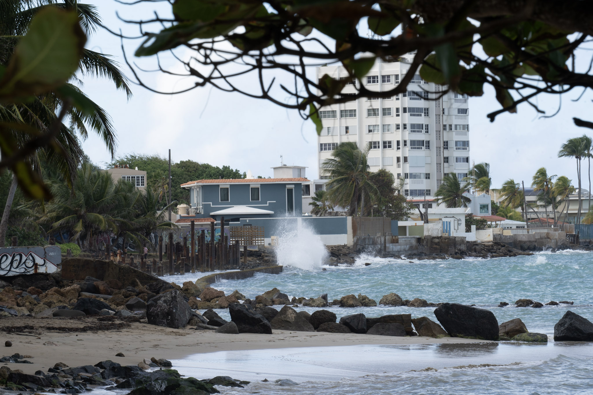 Punta las Marias - foto 195