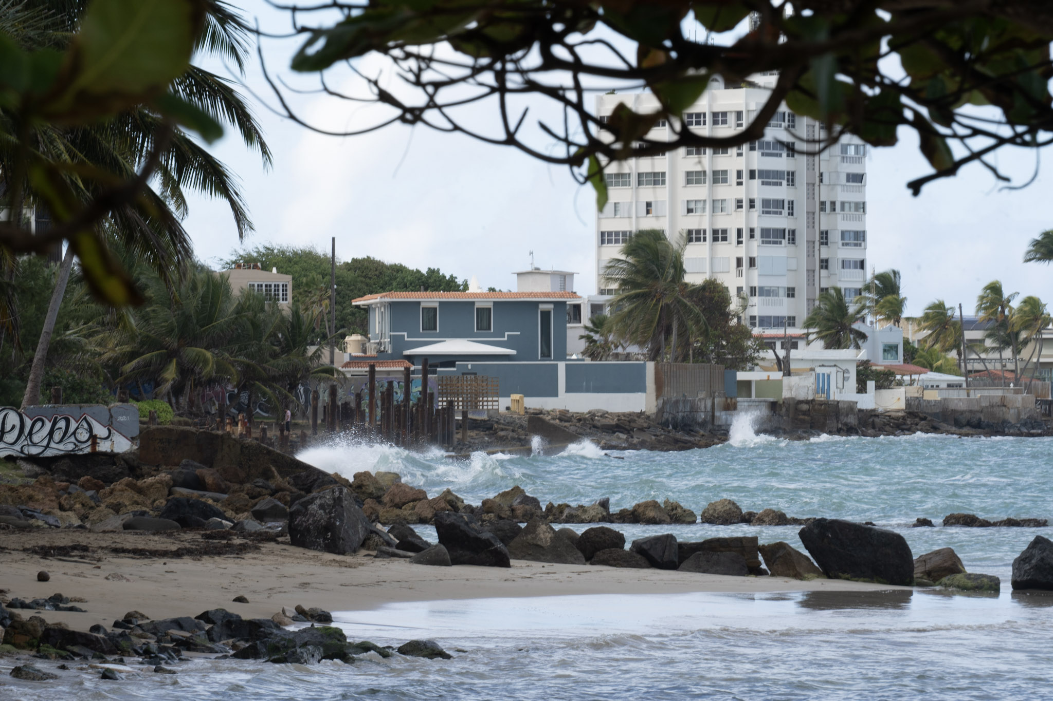 Punta las Marias - foto 200