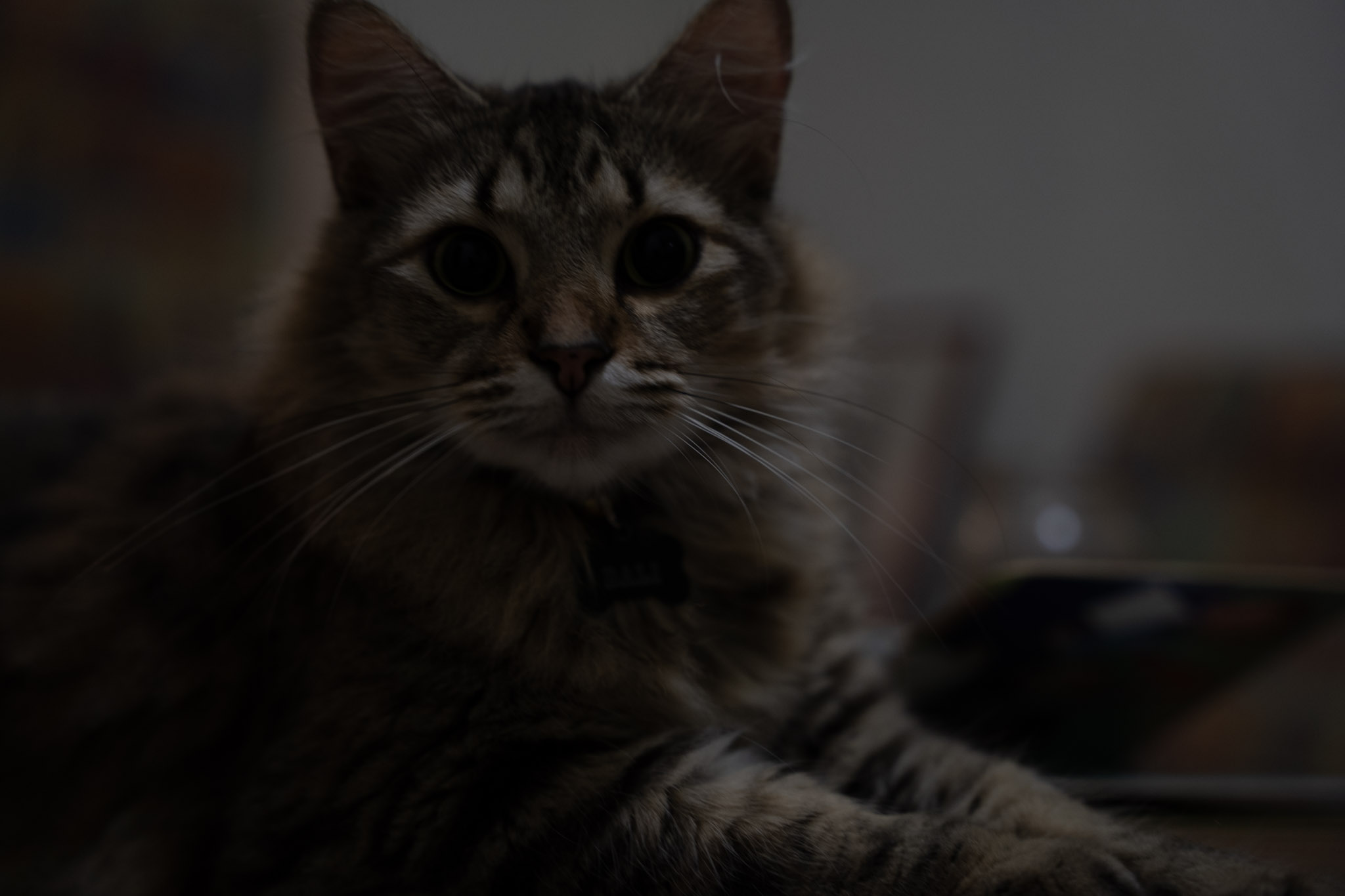 2021-12-20_Santa_Rita