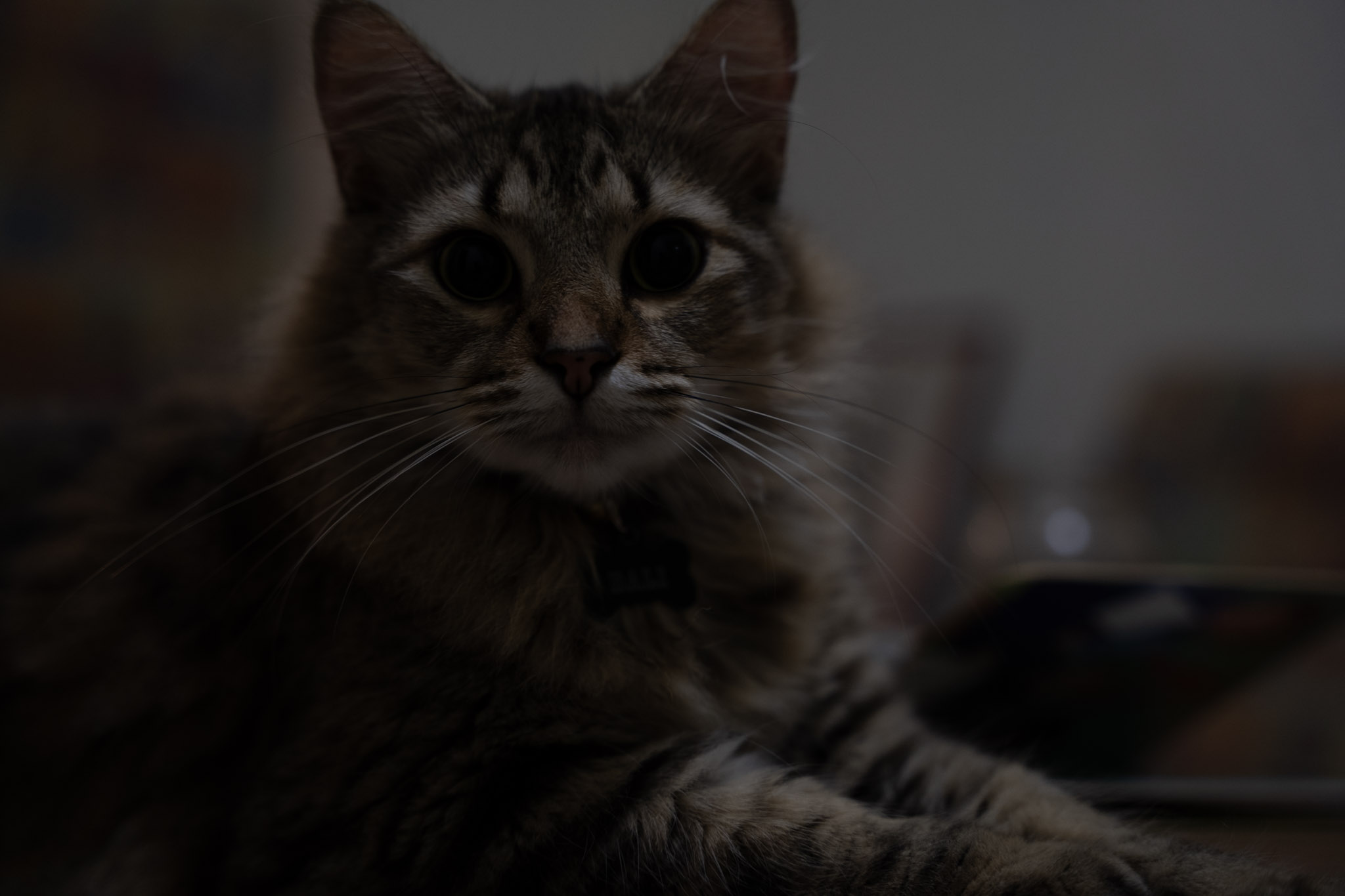 2021-12-20_Santa_Rita - foto 2