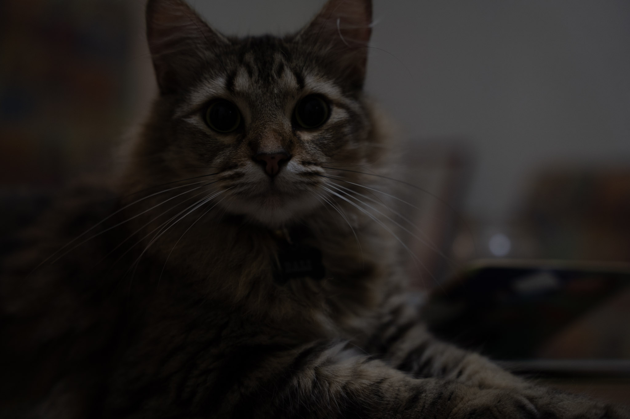 2021-12-20_Santa_Rita - foto 3