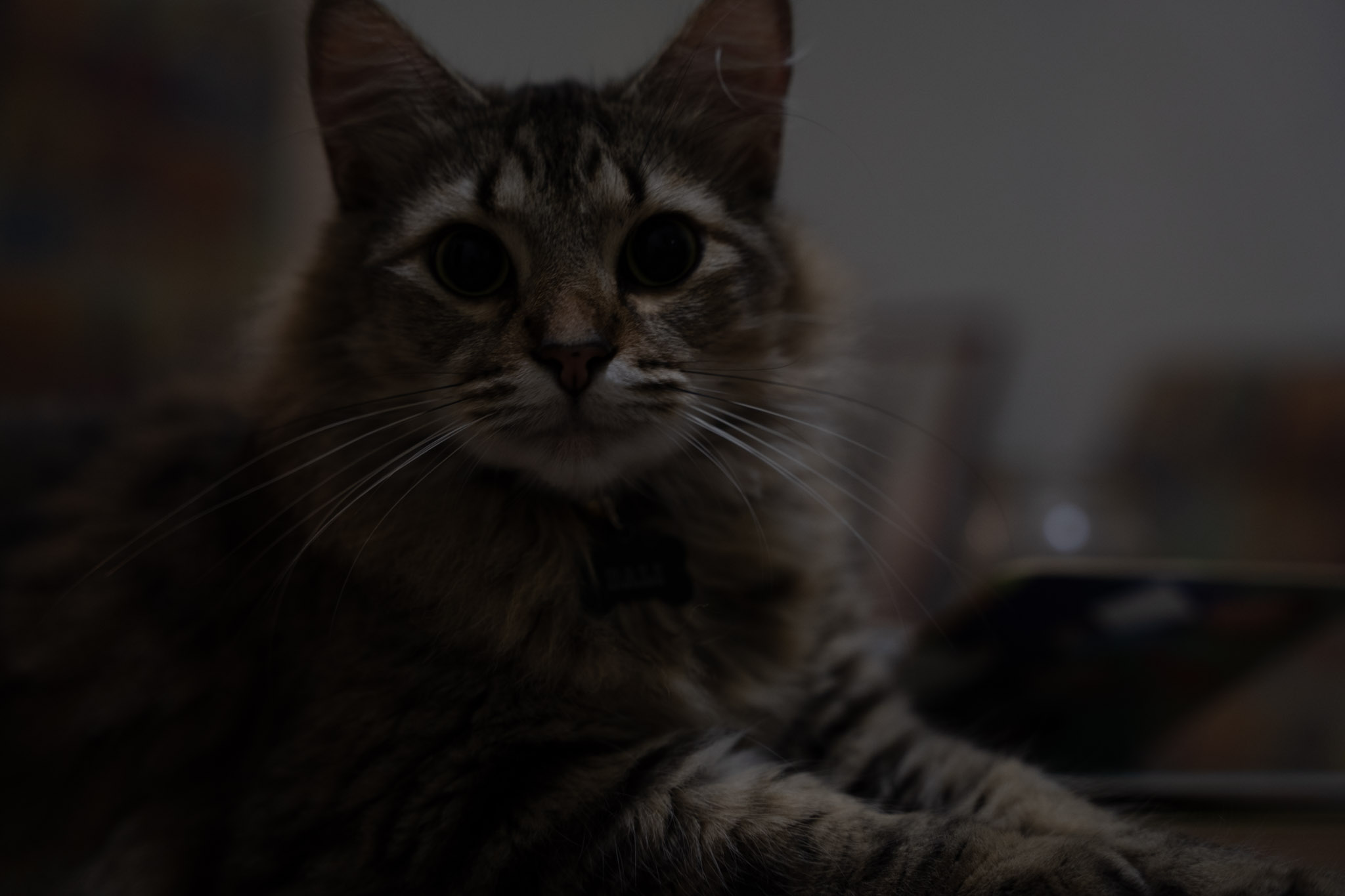 2021-12-20_Santa_Rita - foto 4