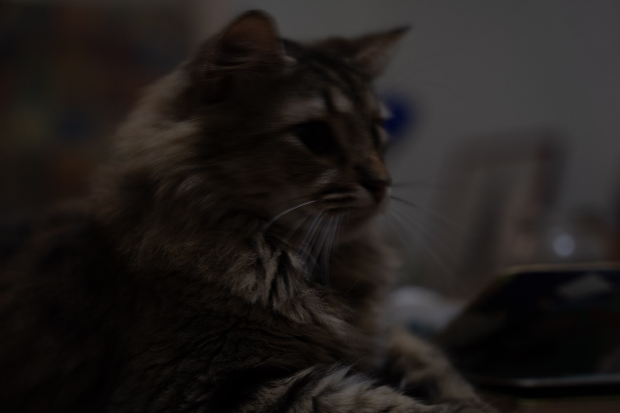 2021-12-20_Santa_Rita - foto 6