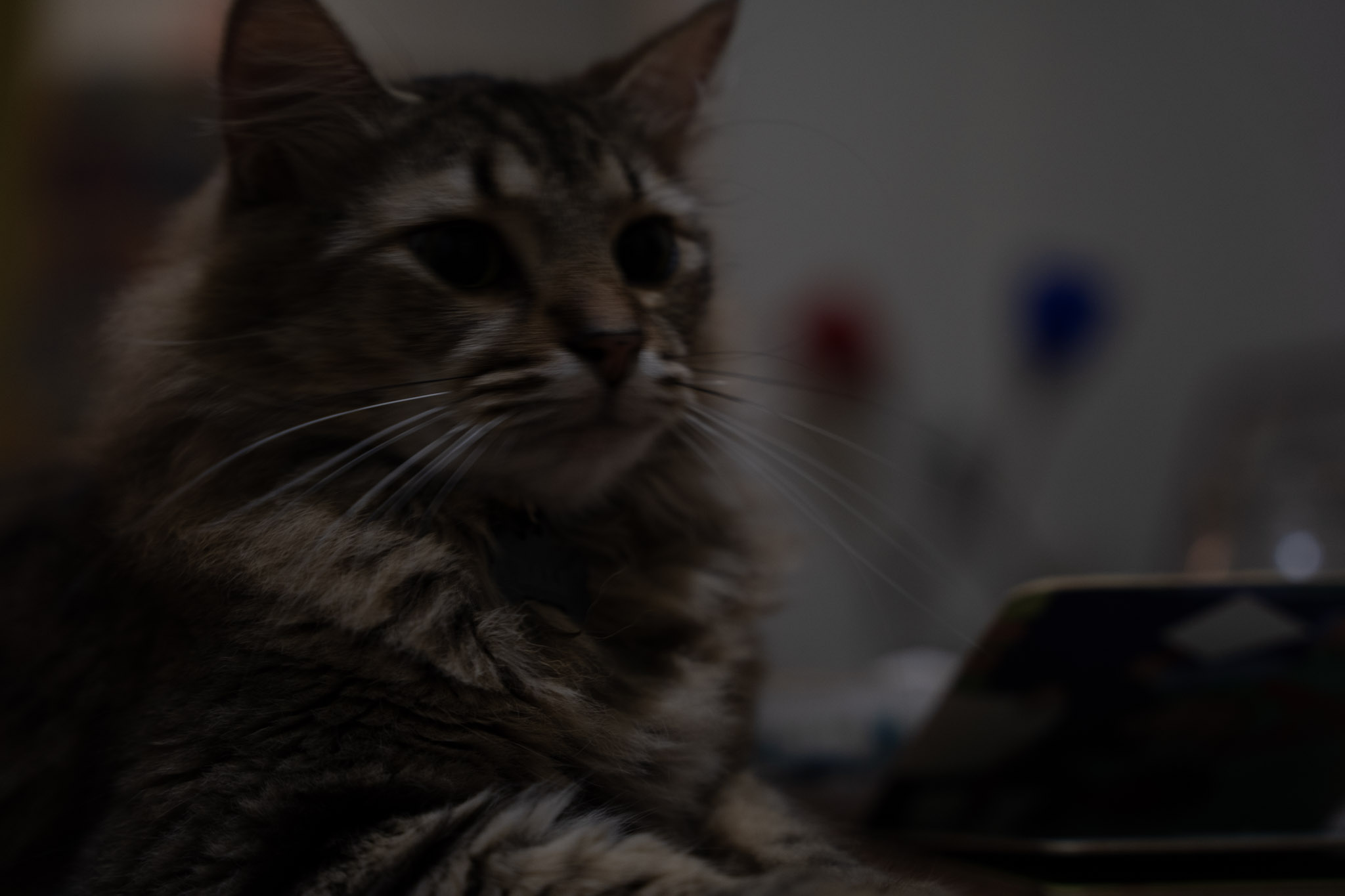 2021-12-20_Santa_Rita - foto 7