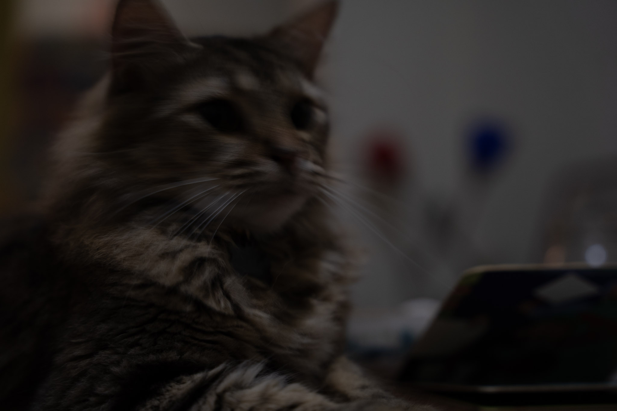 2021-12-20_Santa_Rita - foto 8