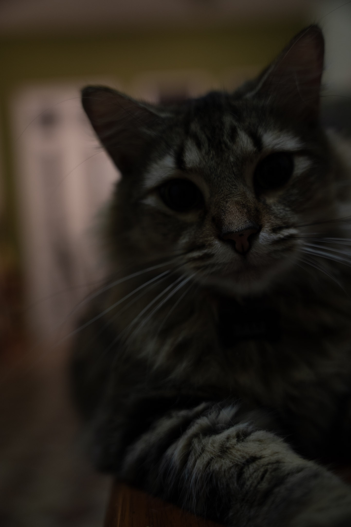 2021-12-20_Santa_Rita - foto 10