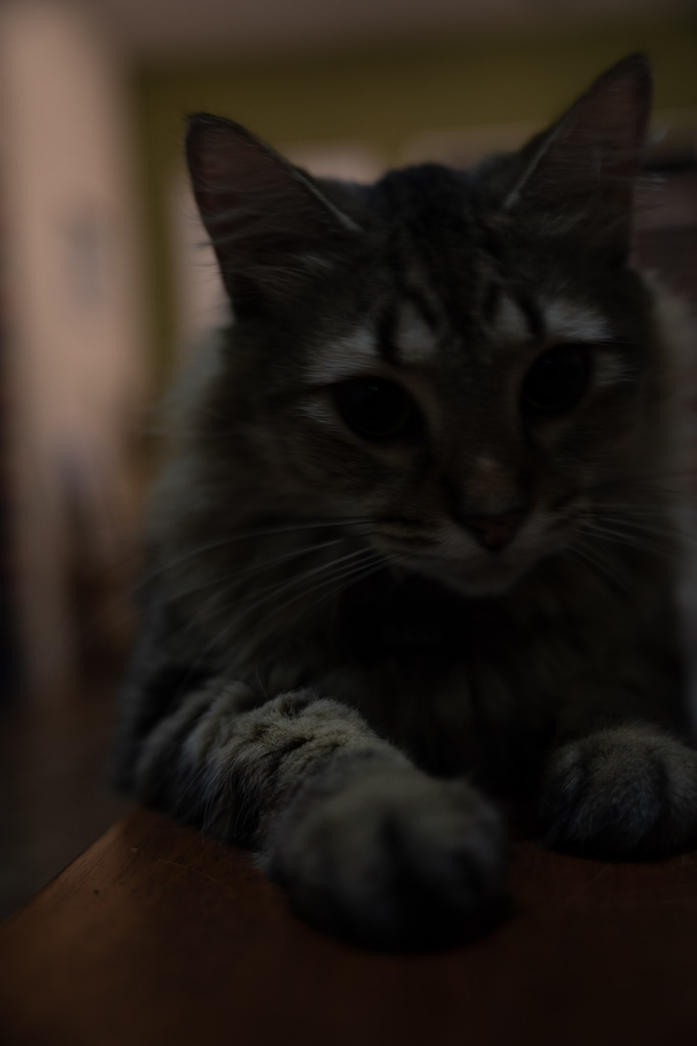 2021-12-20_Santa_Rita - foto 11