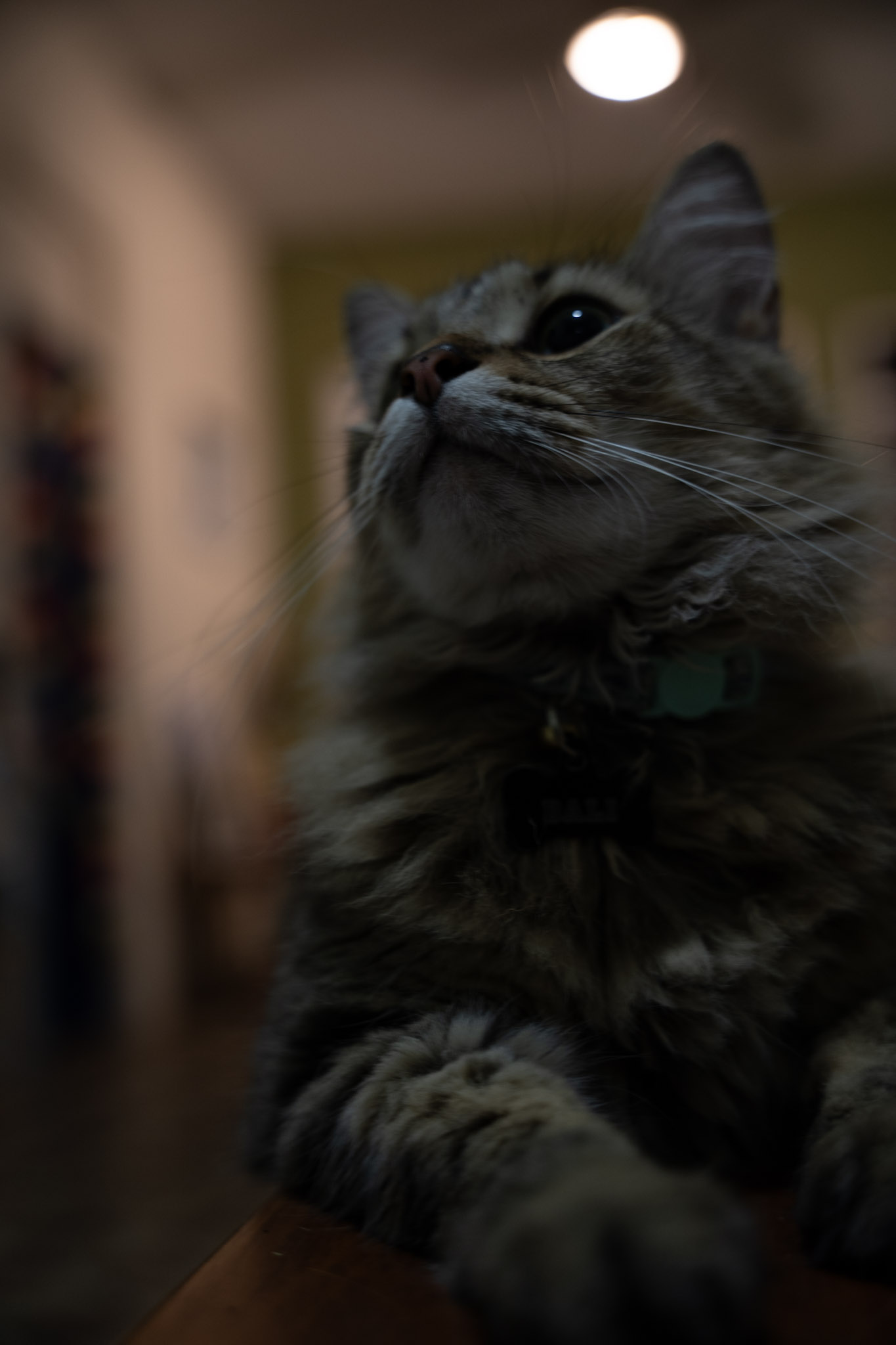 2021-12-20_Santa_Rita - foto 12