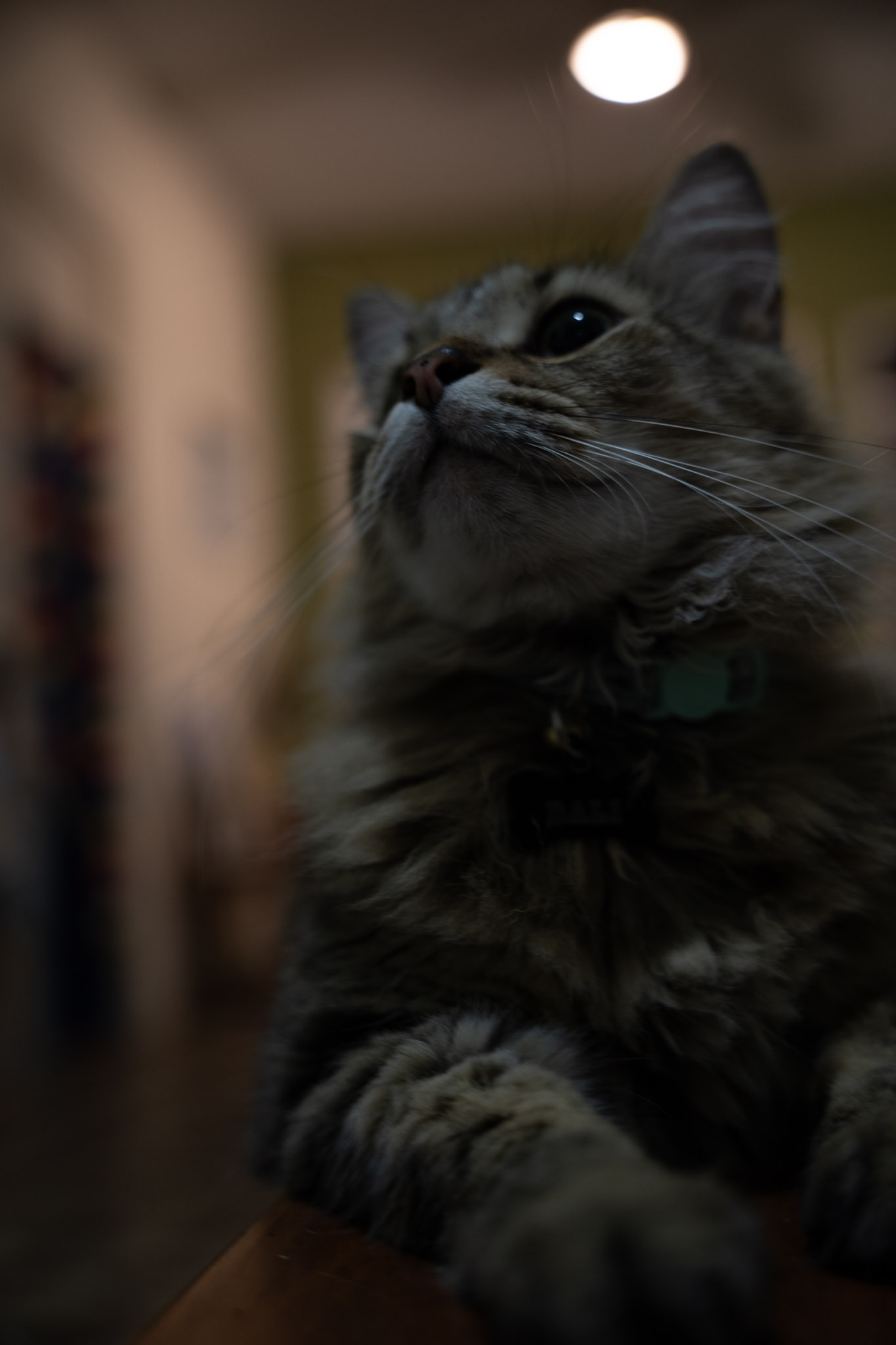 2021-12-20_Santa_Rita - foto 13