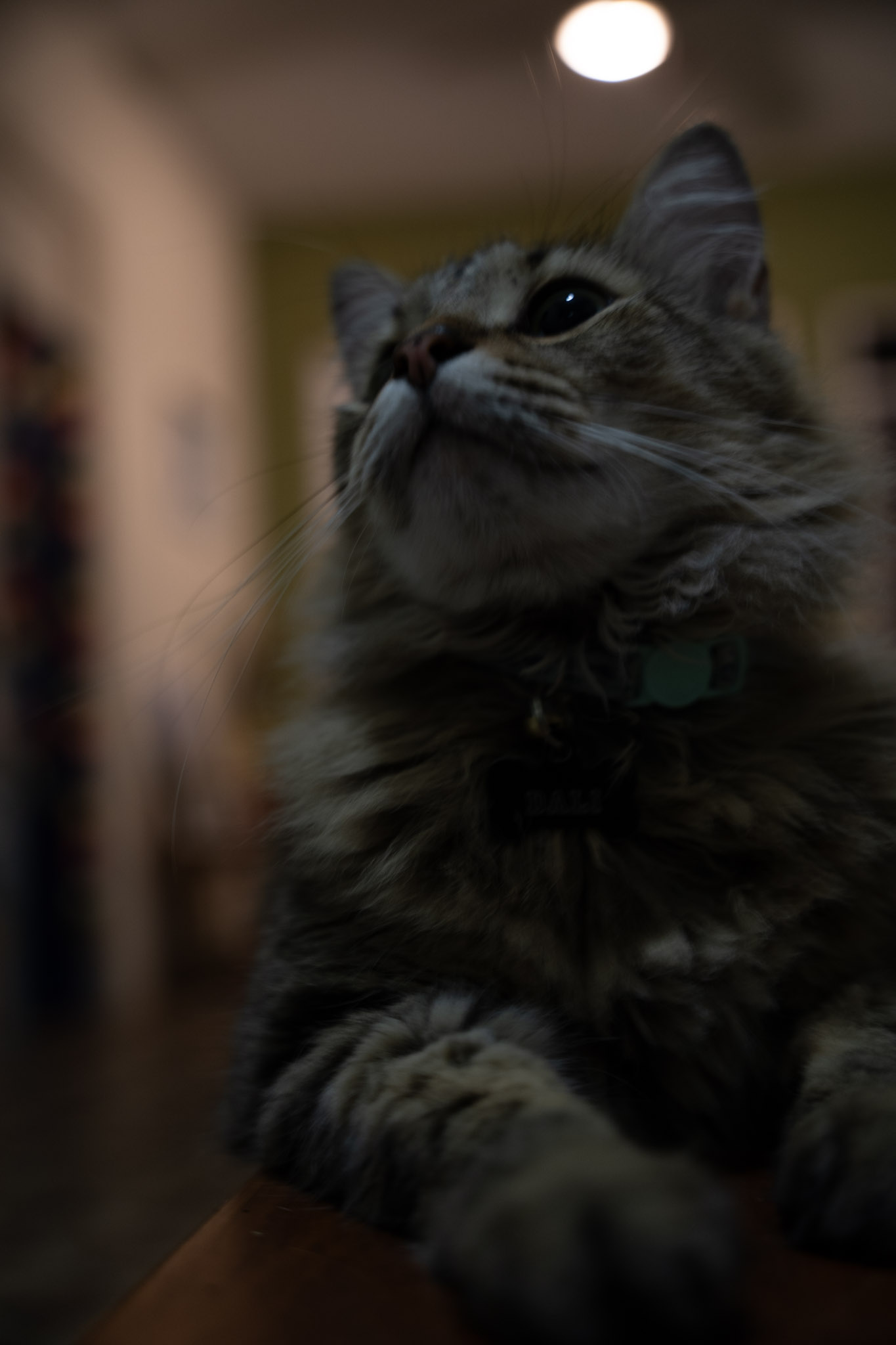 2021-12-20_Santa_Rita - foto 14