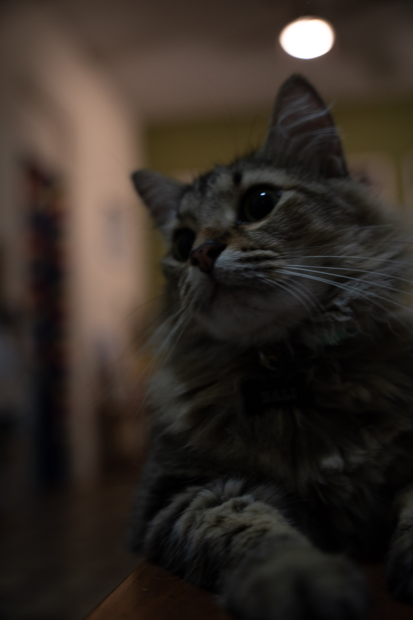 2021-12-20_Santa_Rita - foto 15