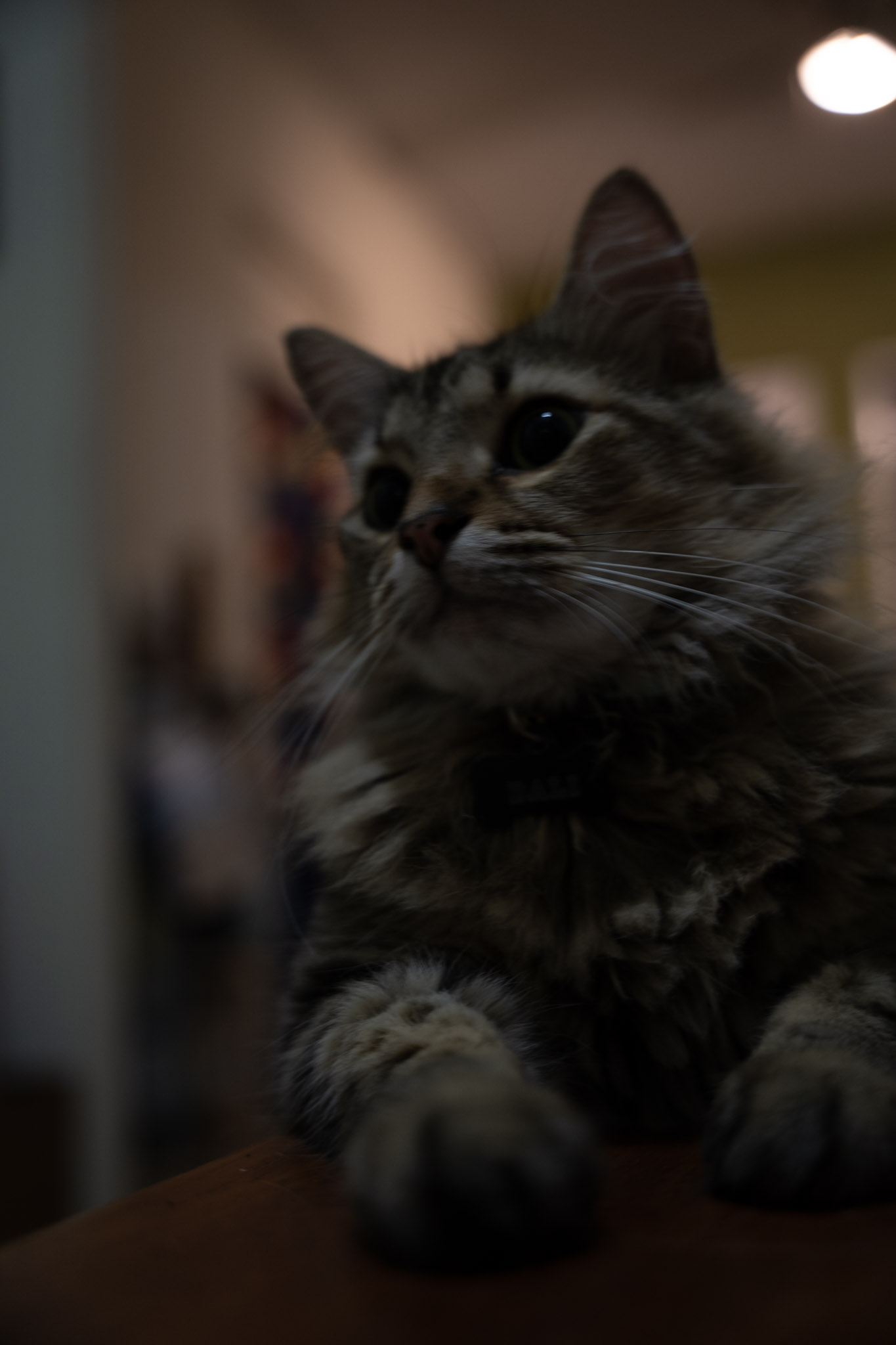 2021-12-20_Santa_Rita - foto 17