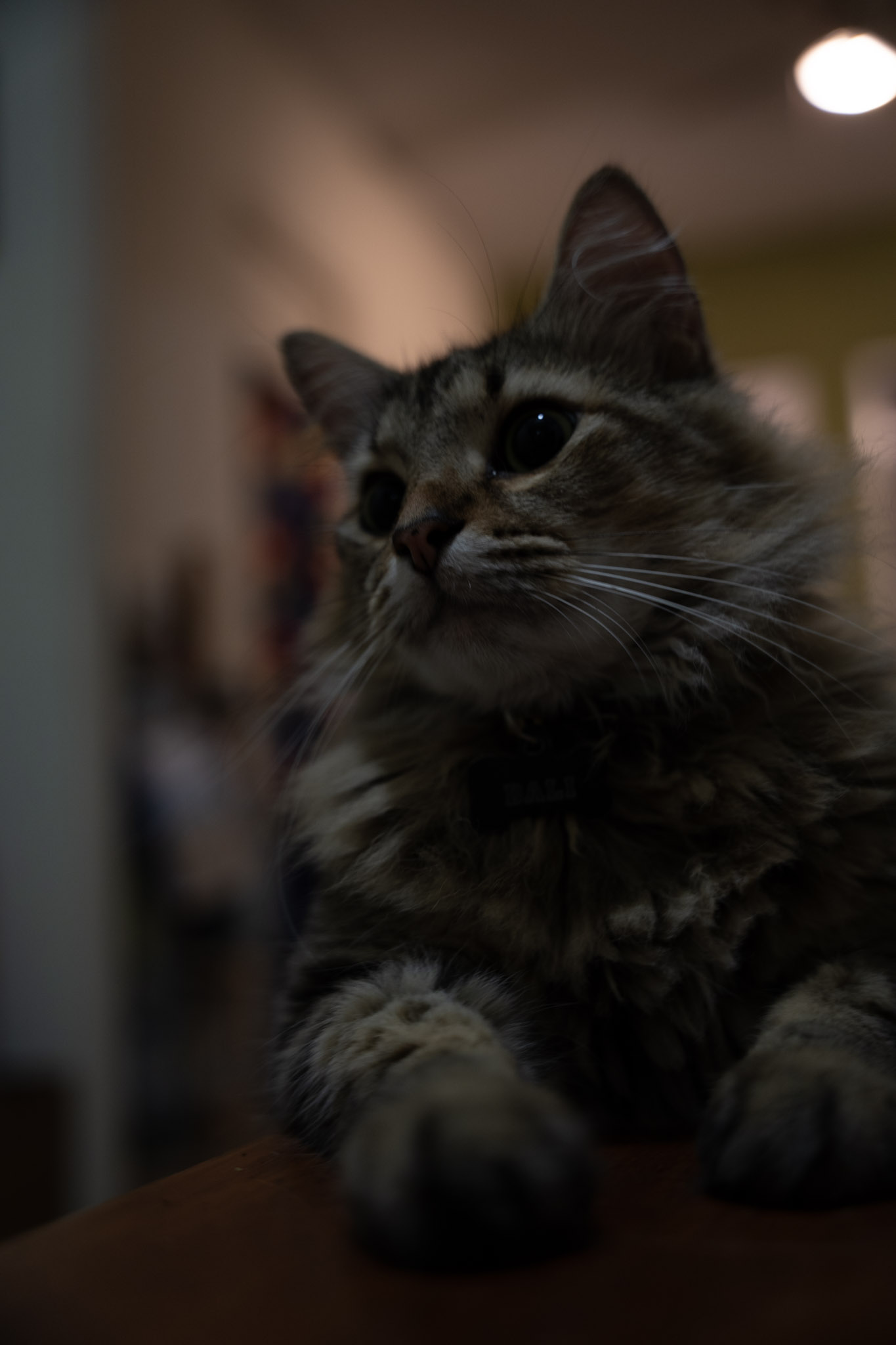 2021-12-20_Santa_Rita - foto 18