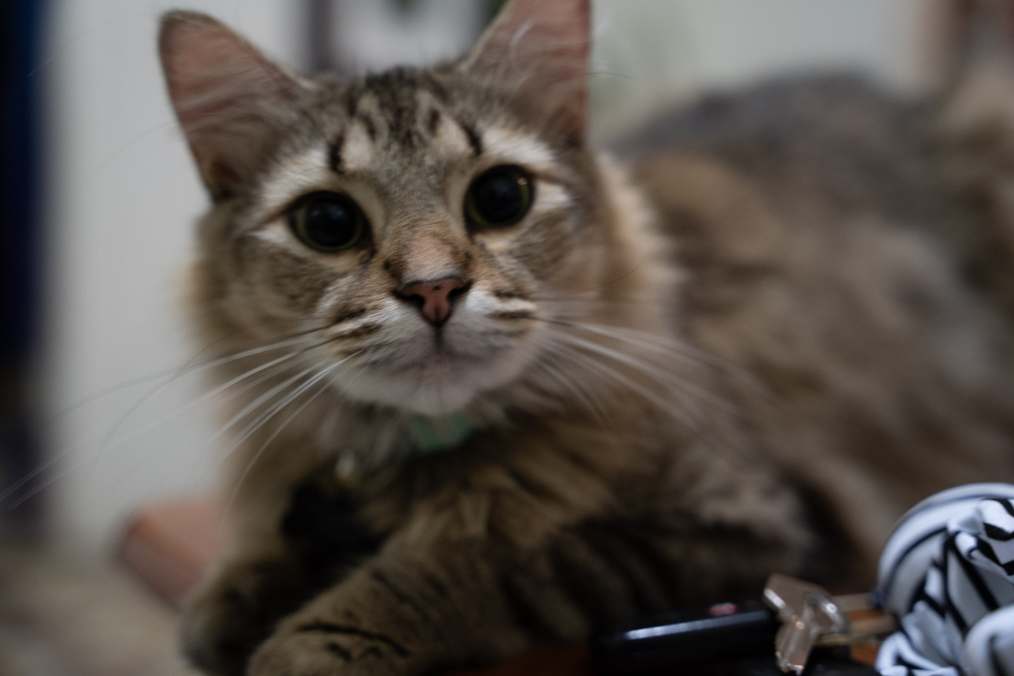 2021-12-20_Santa_Rita - foto 19