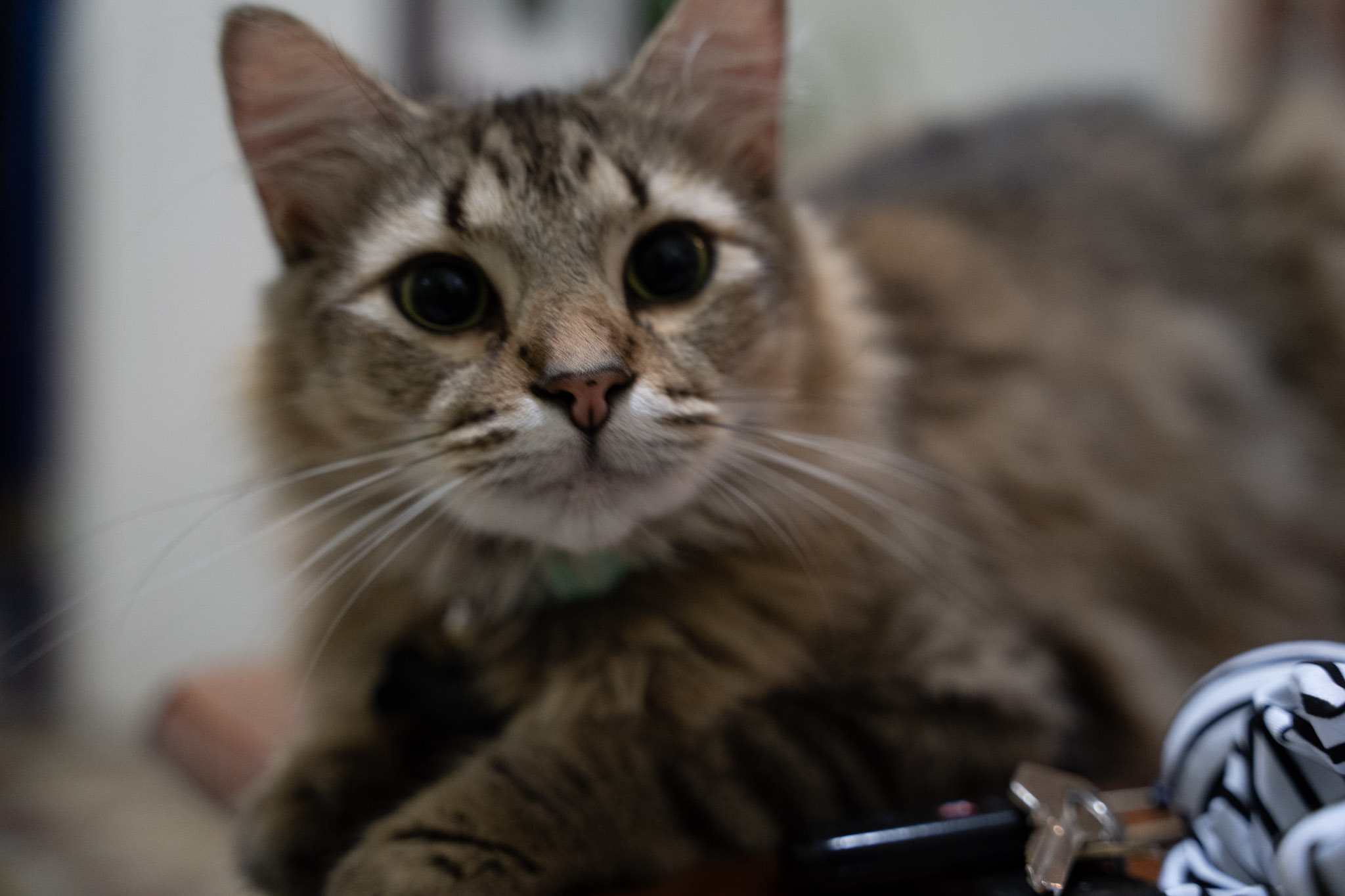 2021-12-20_Santa_Rita - foto 20