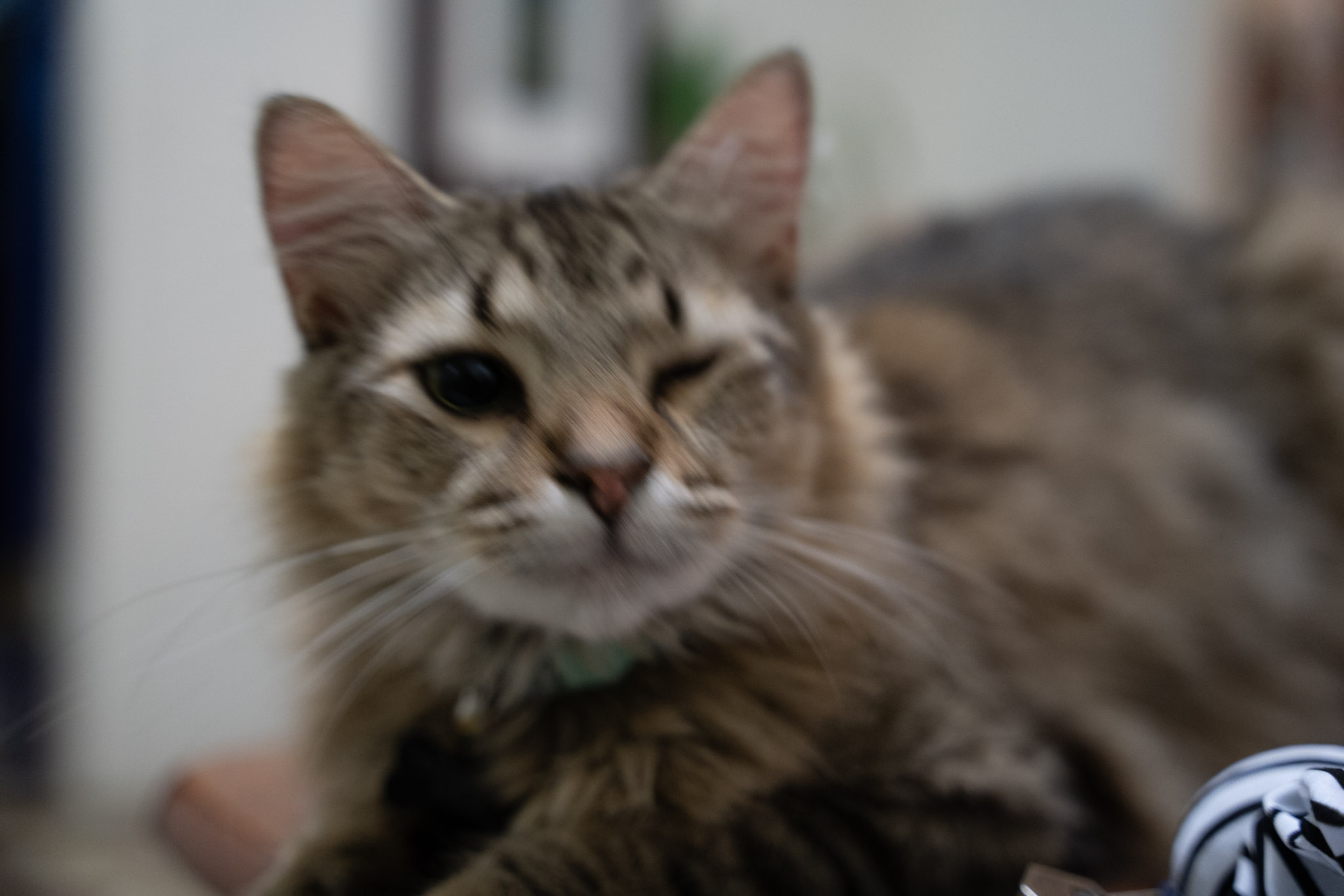 2021-12-20_Santa_Rita - foto 21