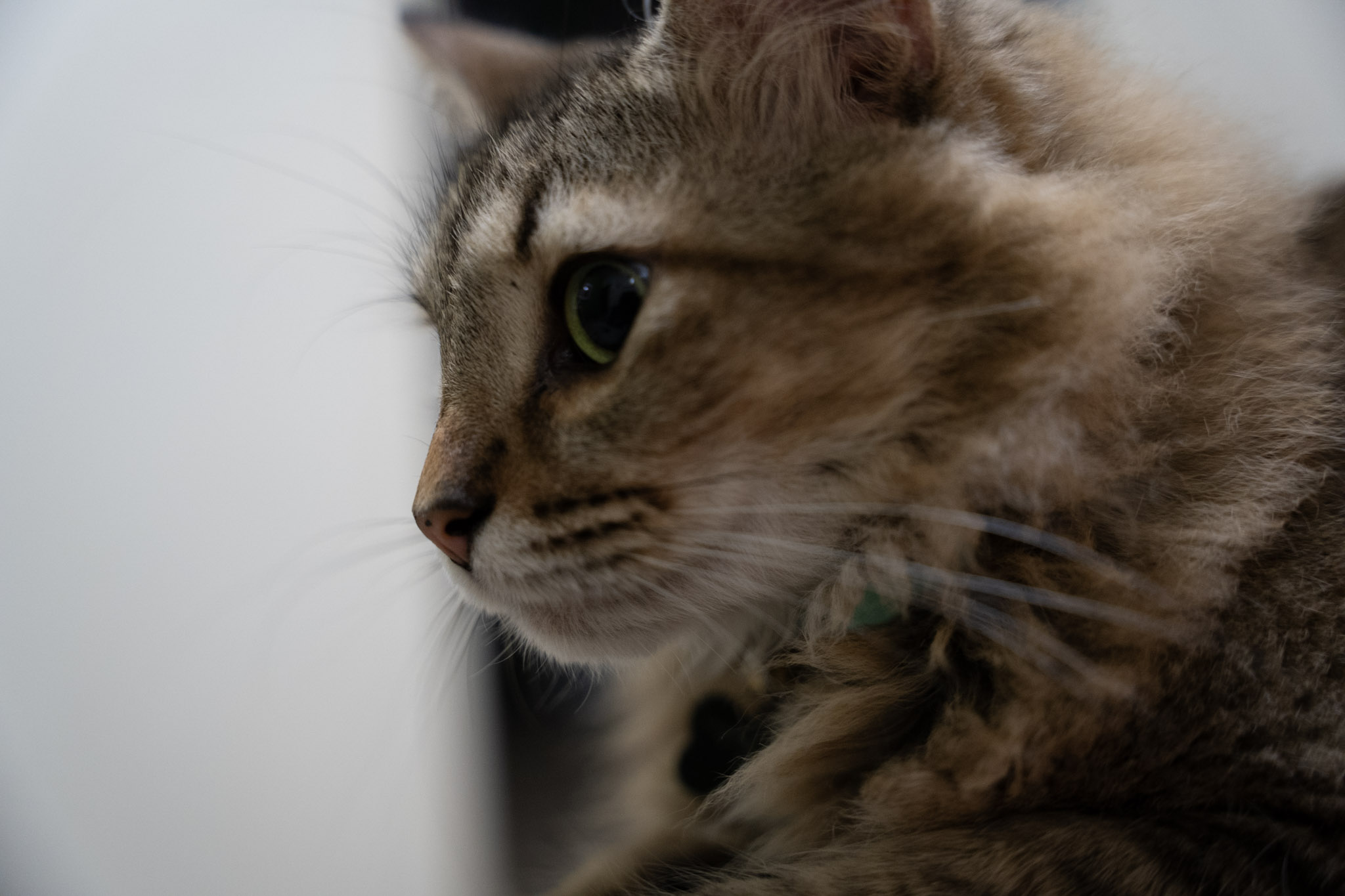 2021-12-20_Santa_Rita - foto 22