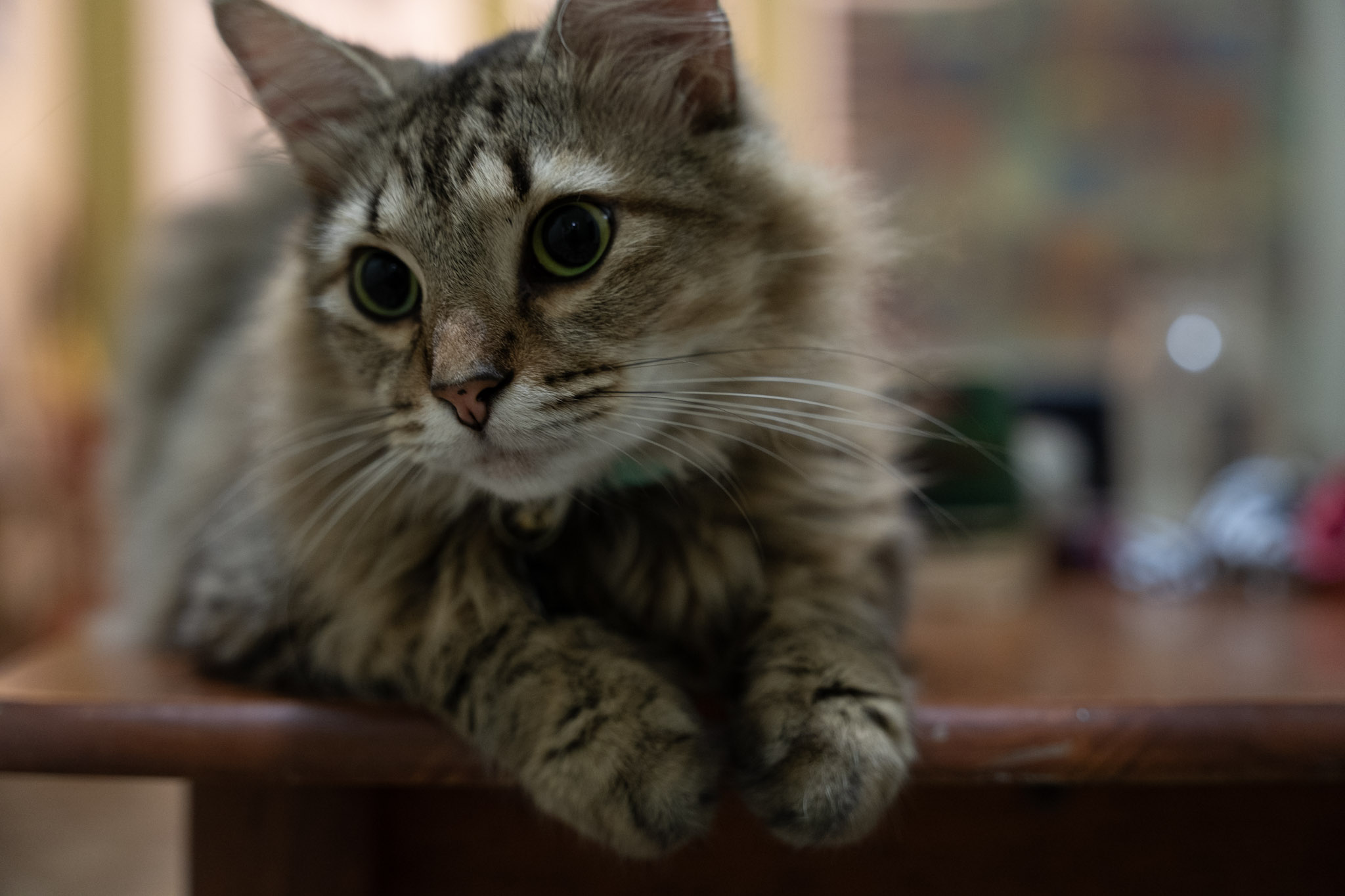 2021-12-20_Santa_Rita - foto 26