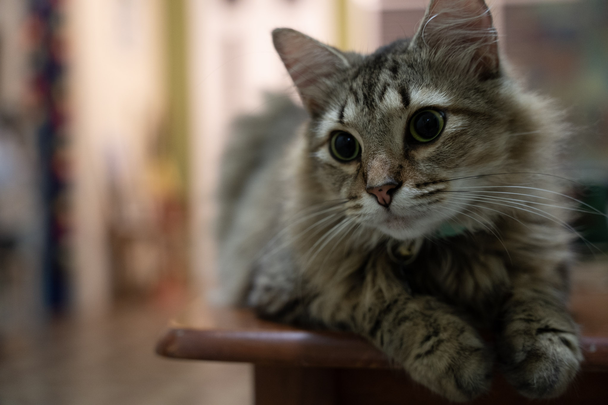 2021-12-20_Santa_Rita - foto 28