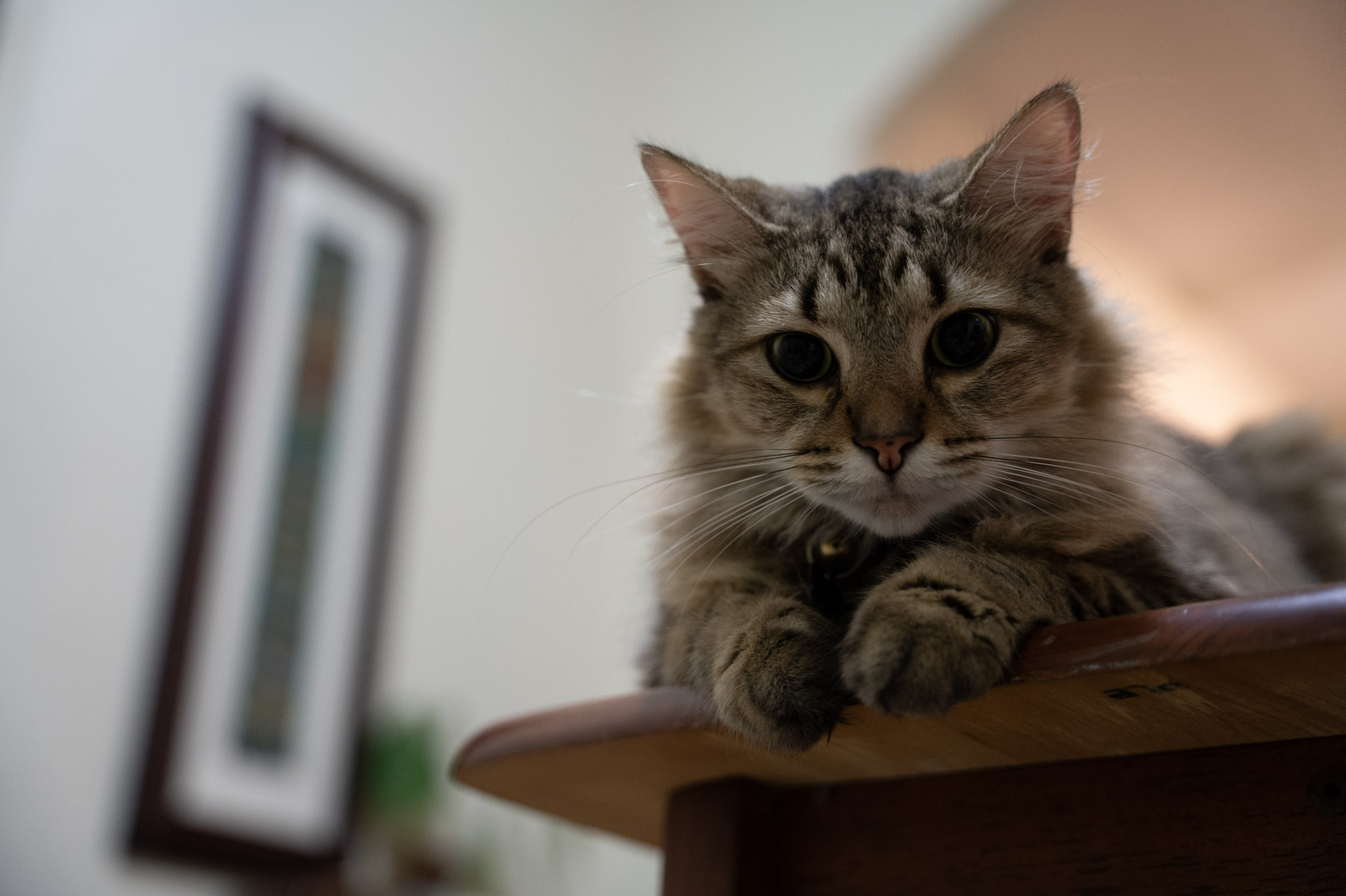 2021-12-20_Santa_Rita - foto 29