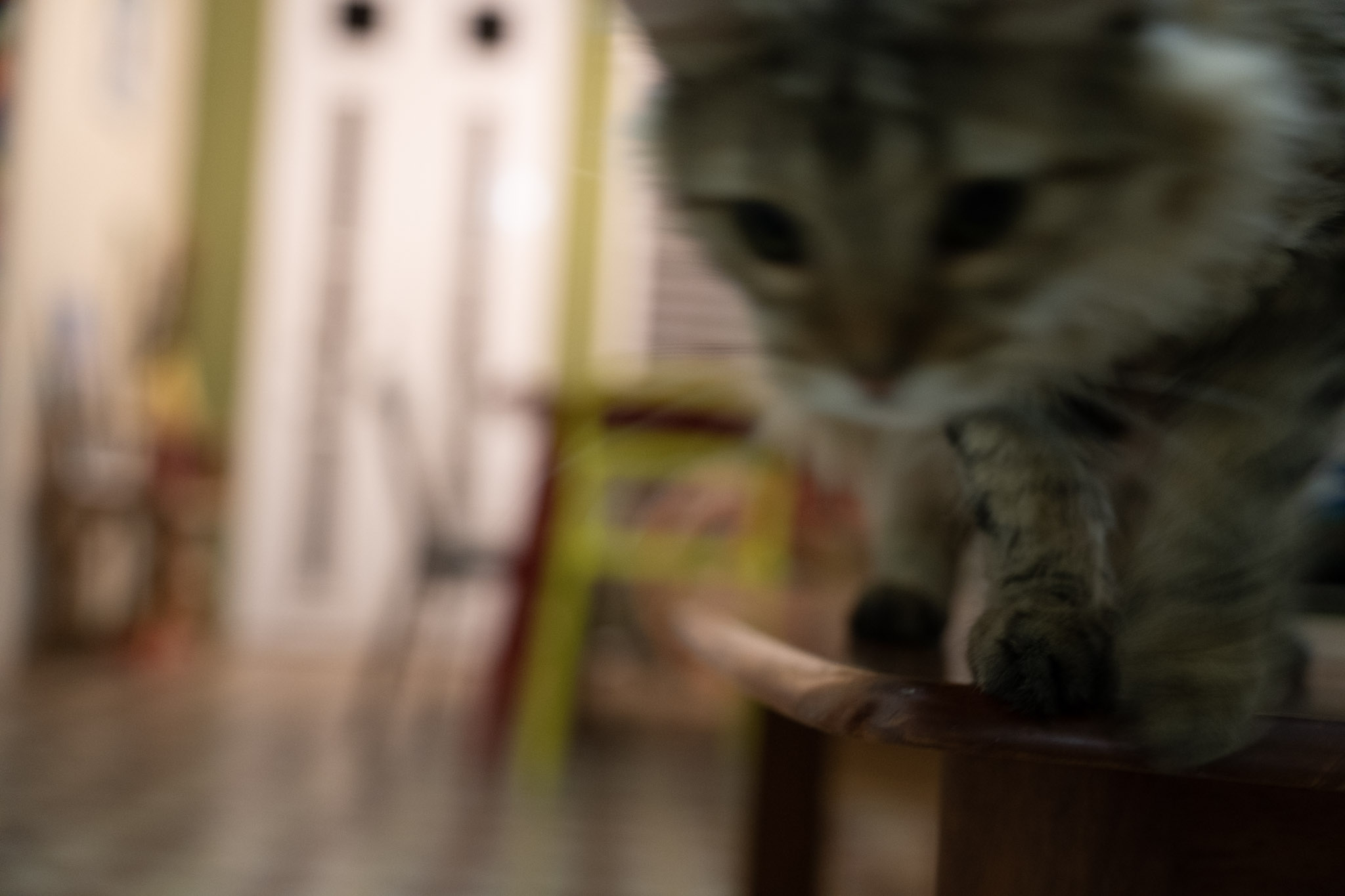 2021-12-20_Santa_Rita - foto 30