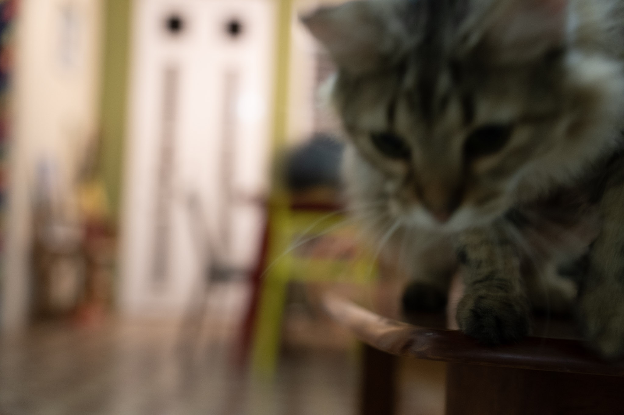 2021-12-20_Santa_Rita - foto 31