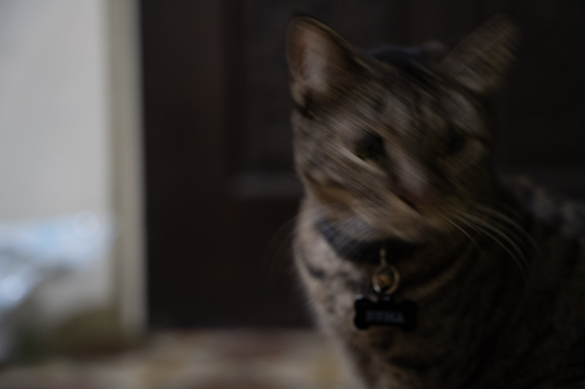 2021-12-20_Santa_Rita - foto 32