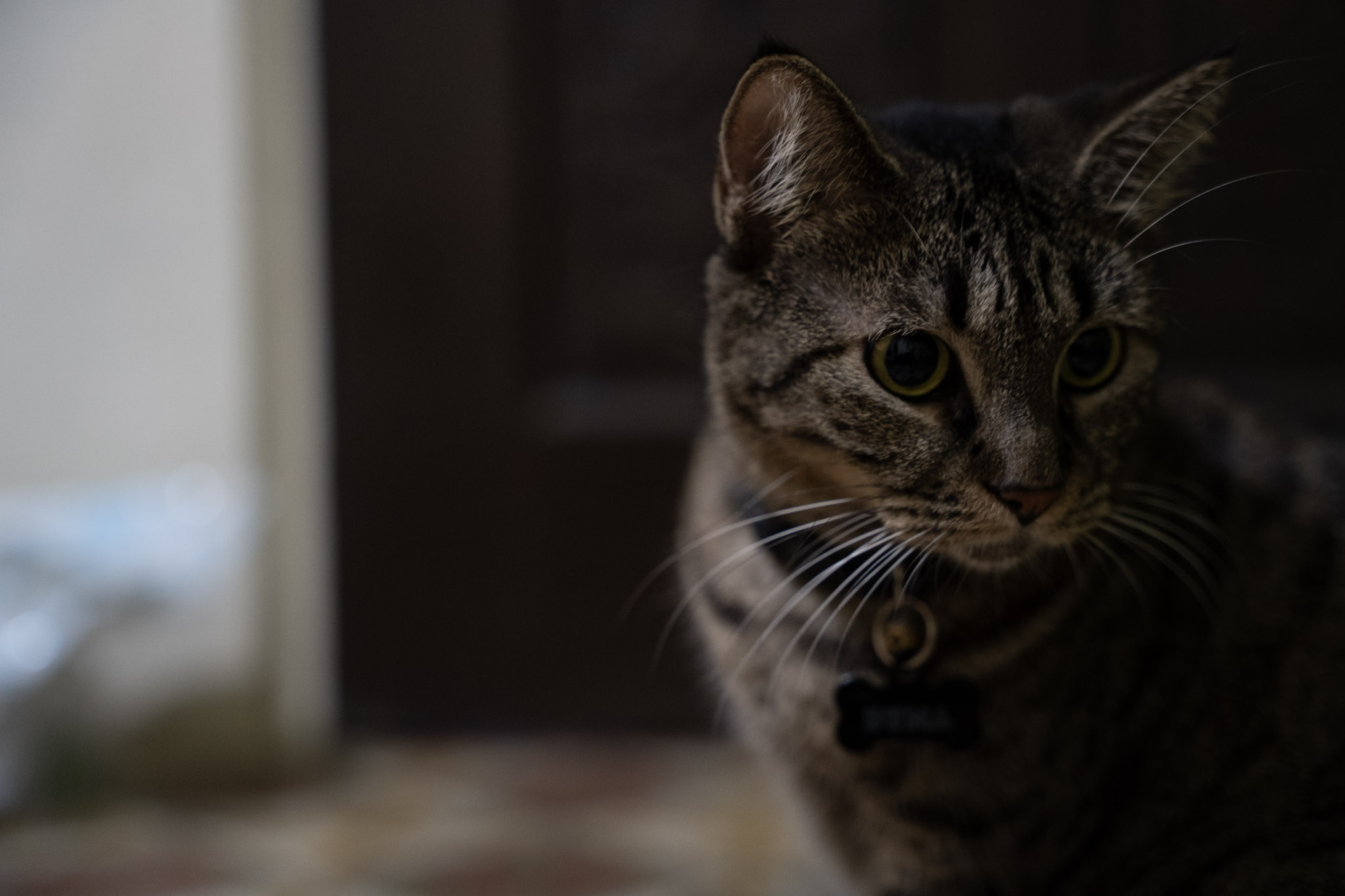 2021-12-20_Santa_Rita - foto 33