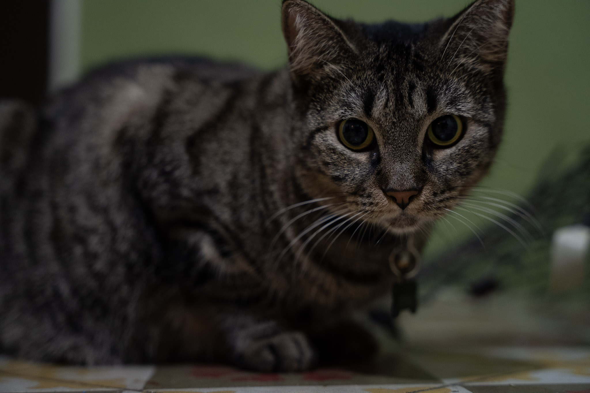 2021-12-20_Santa_Rita - foto 34