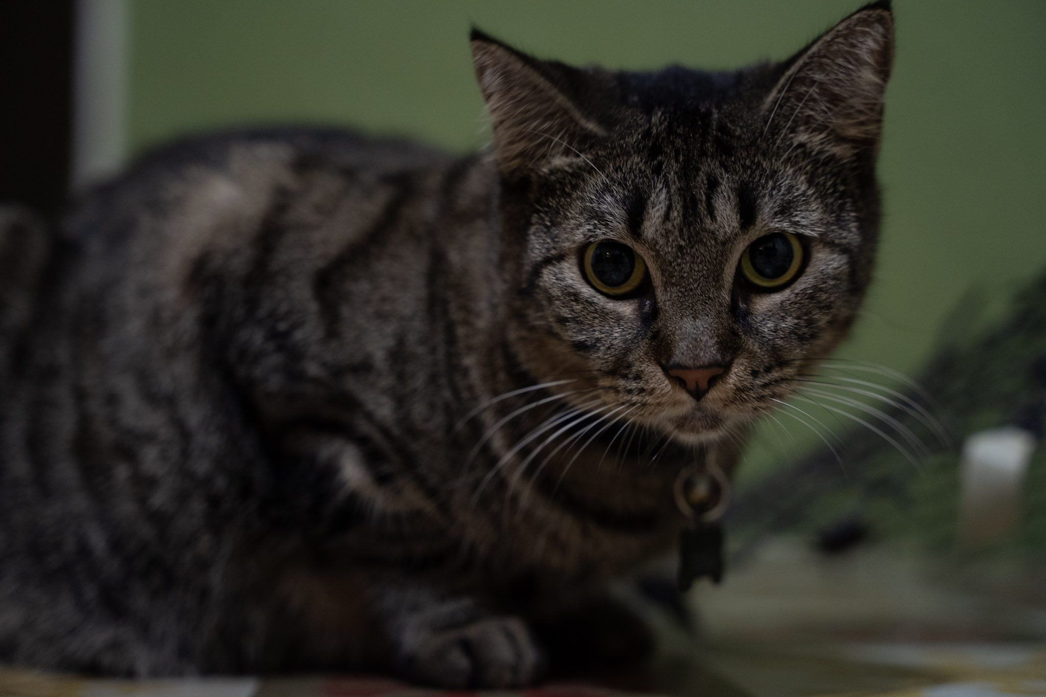 2021-12-20_Santa_Rita - foto 37