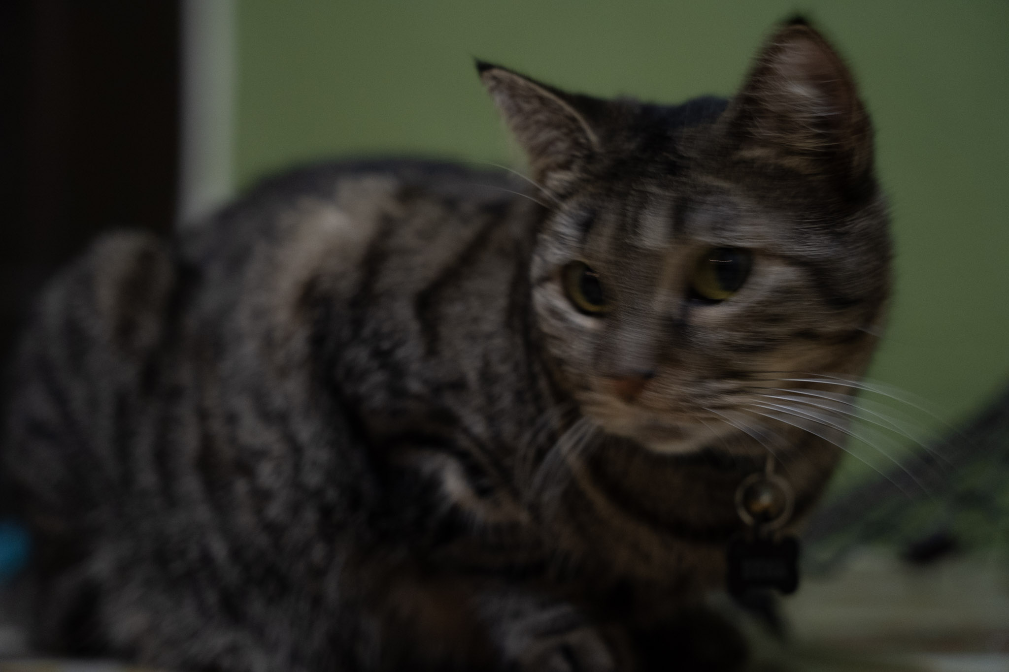 2021-12-20_Santa_Rita - foto 38