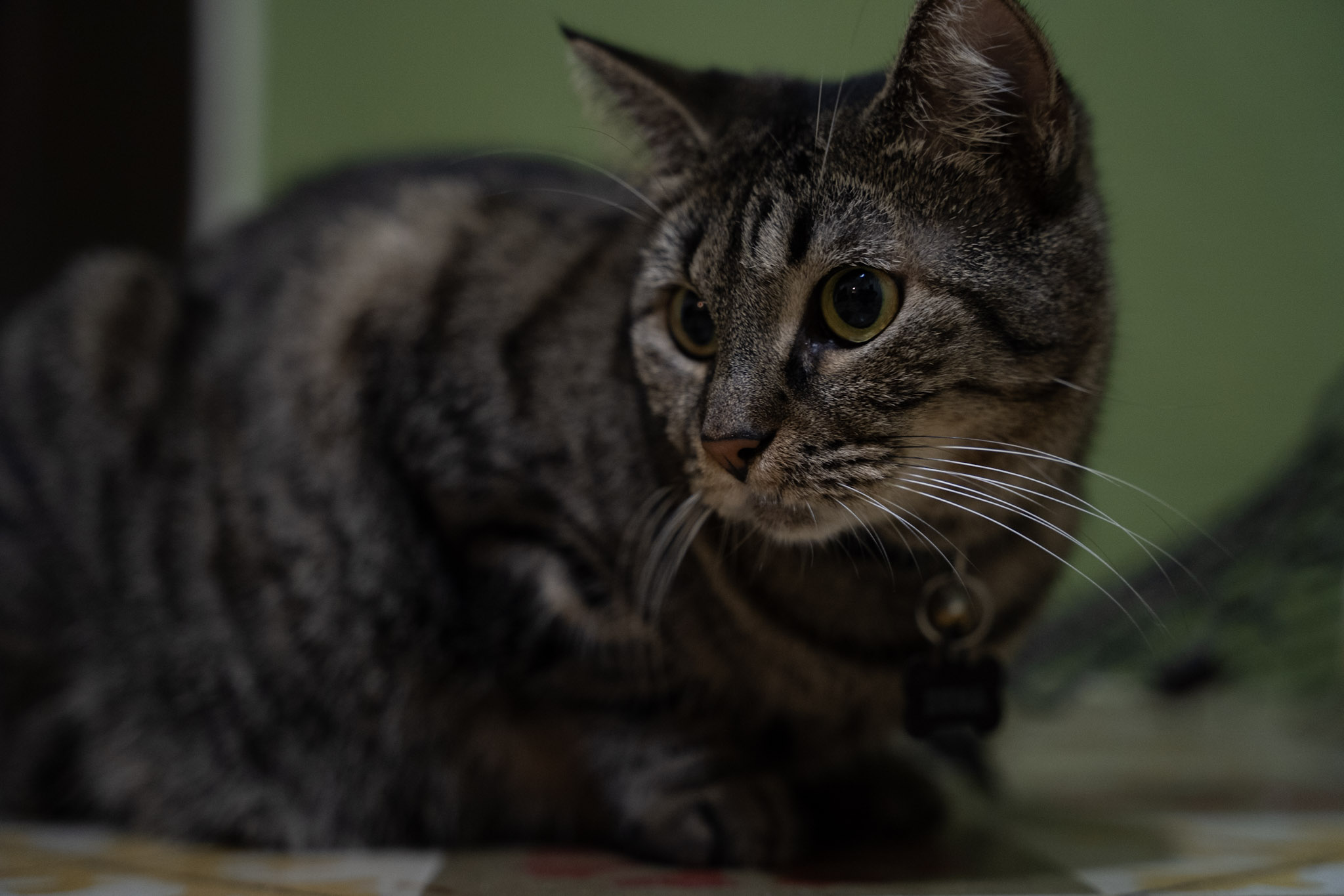 2021-12-20_Santa_Rita - foto 39