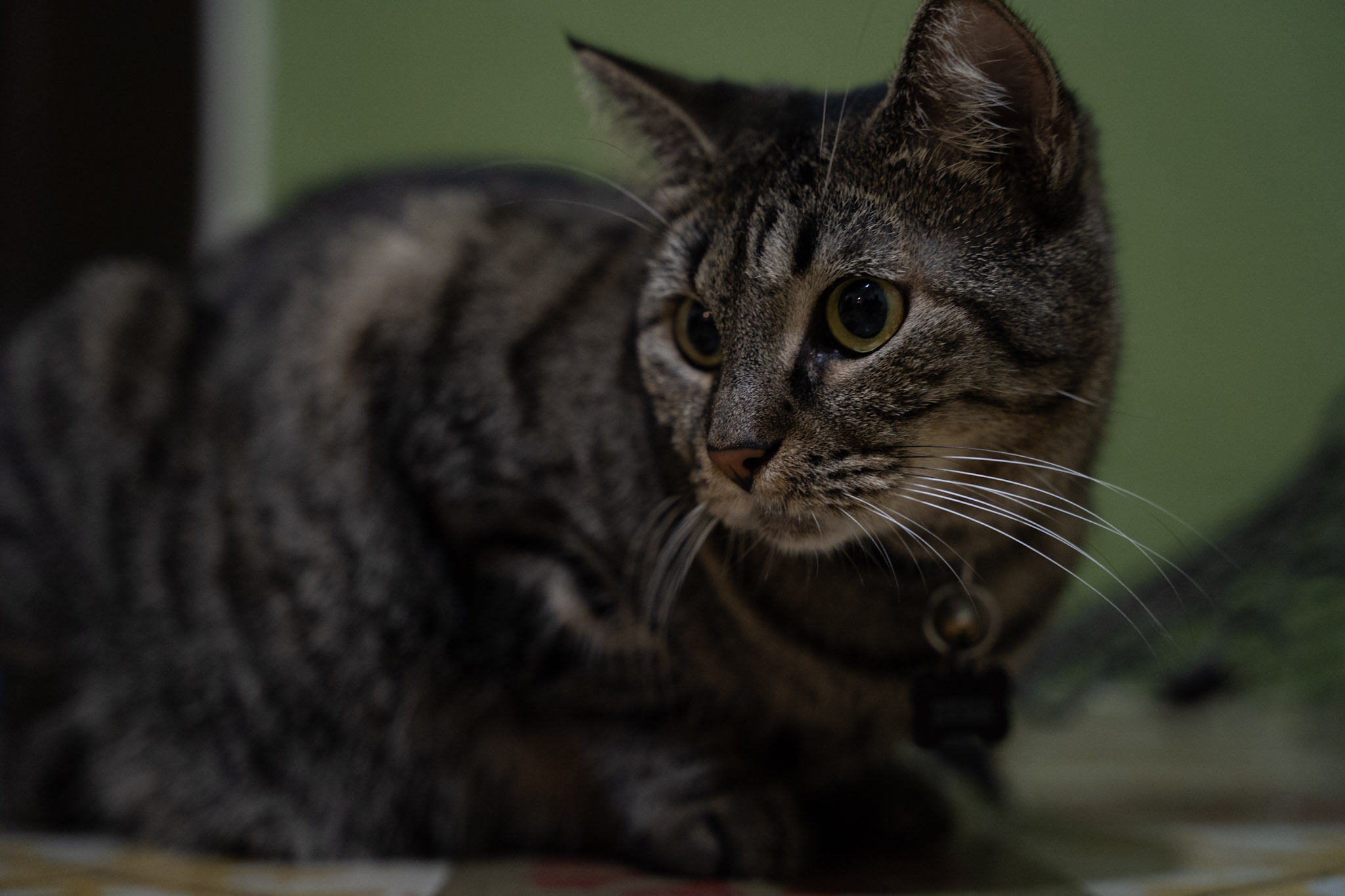 2021-12-20_Santa_Rita - foto 40