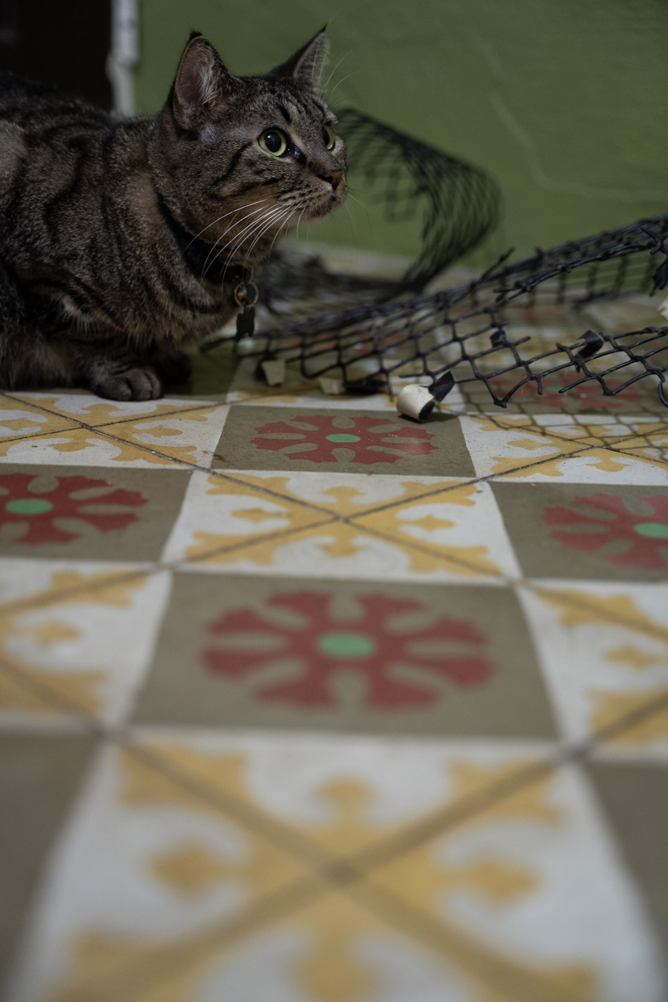 2021-12-20_Santa_Rita - foto 42