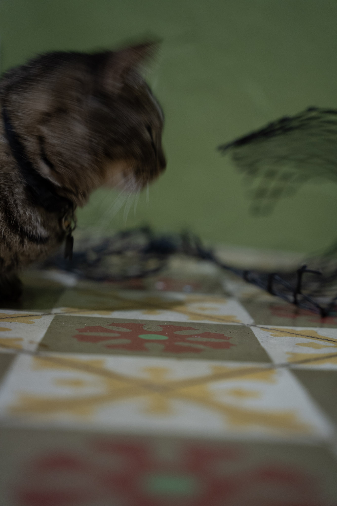 2021-12-20_Santa_Rita - foto 43