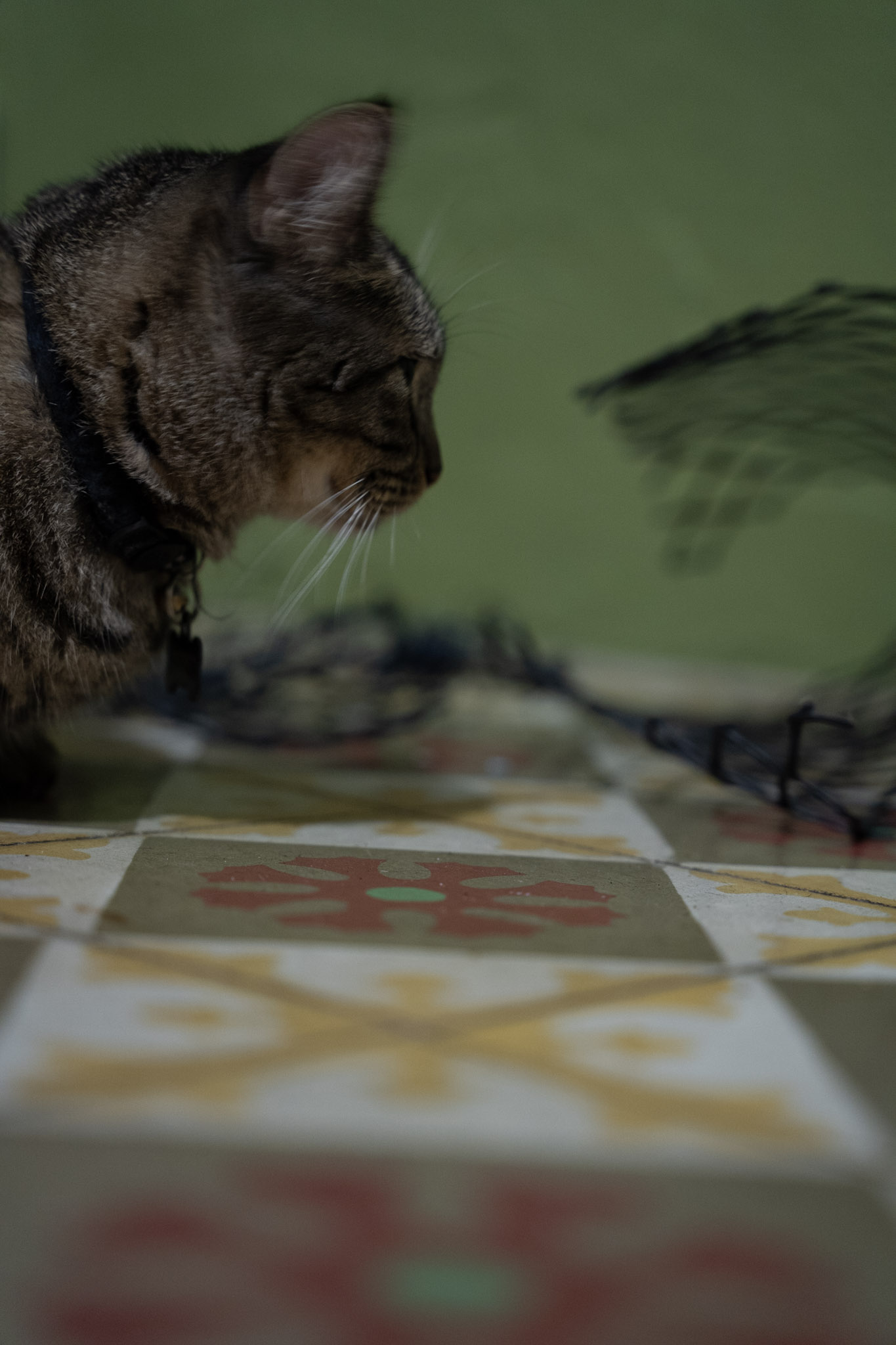 2021-12-20_Santa_Rita - foto 44