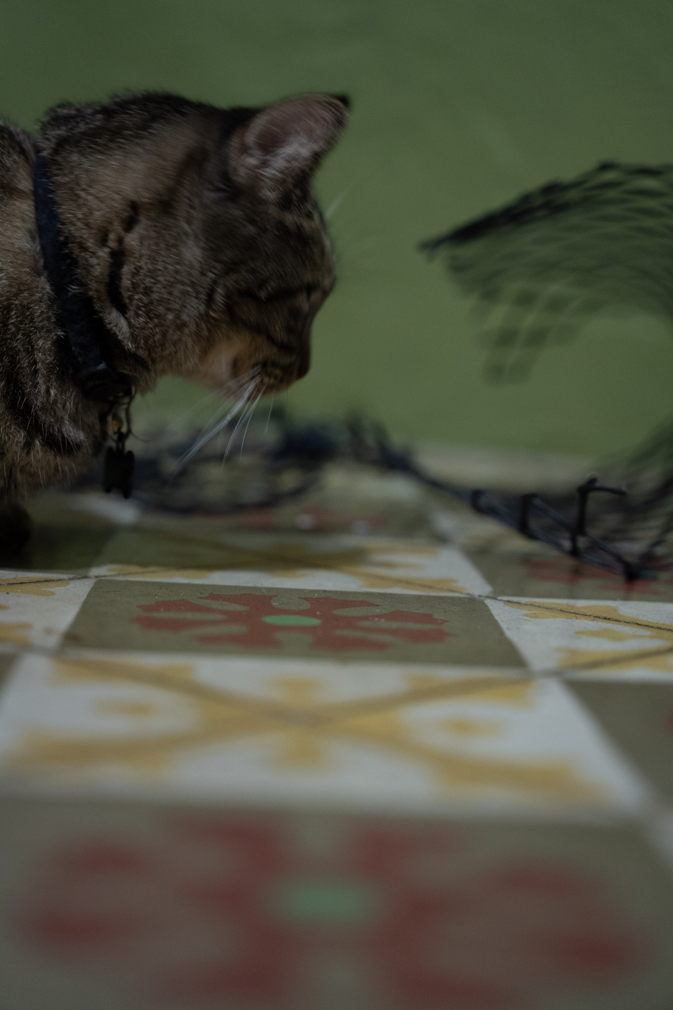 2021-12-20_Santa_Rita - foto 45